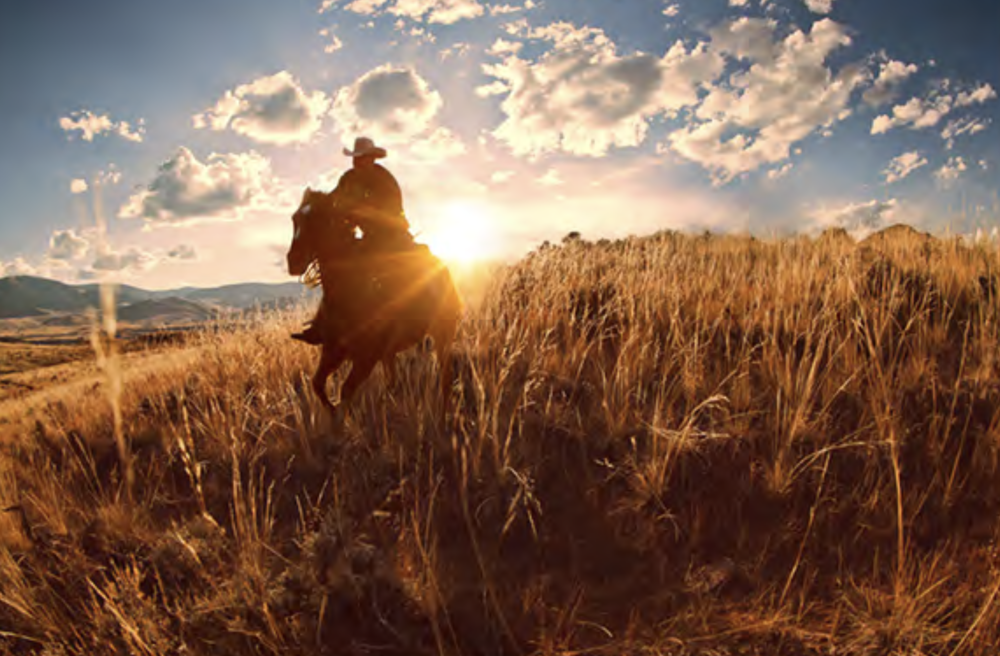 Screenshot 2023-05-29 at 12.35.19 AM.png