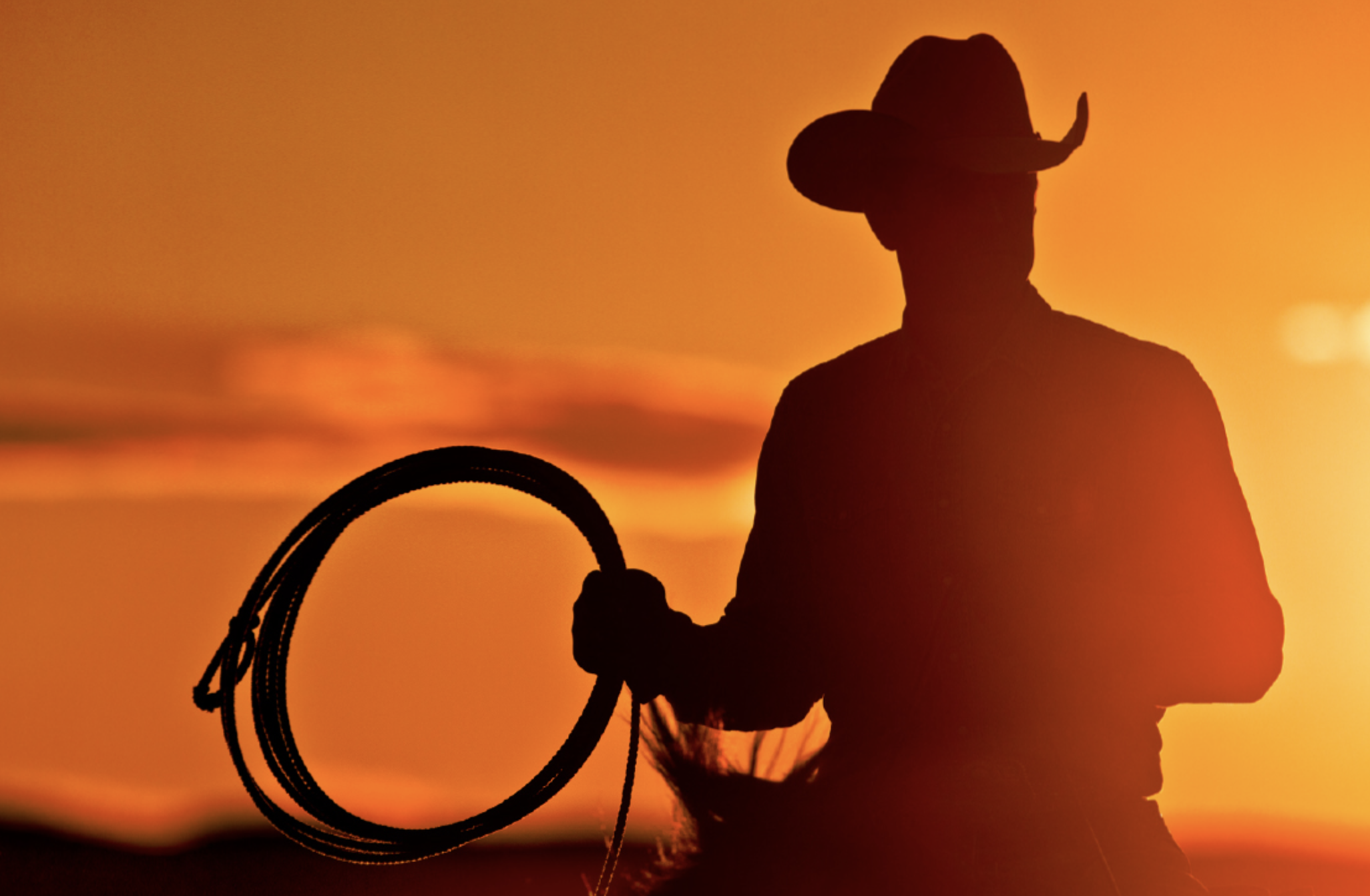 Screenshot 2023-05-23 at 2.03.03 PM.png