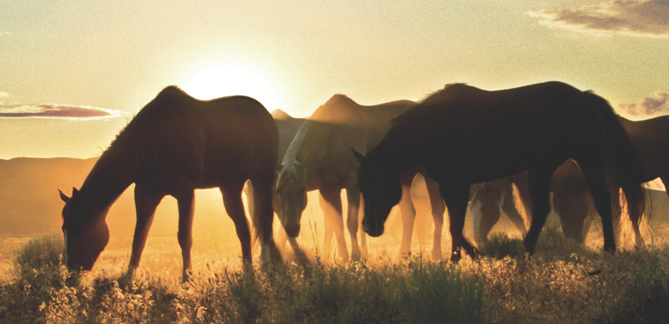 Screenshot 2023-05-23 at 2.03.17 PM.png