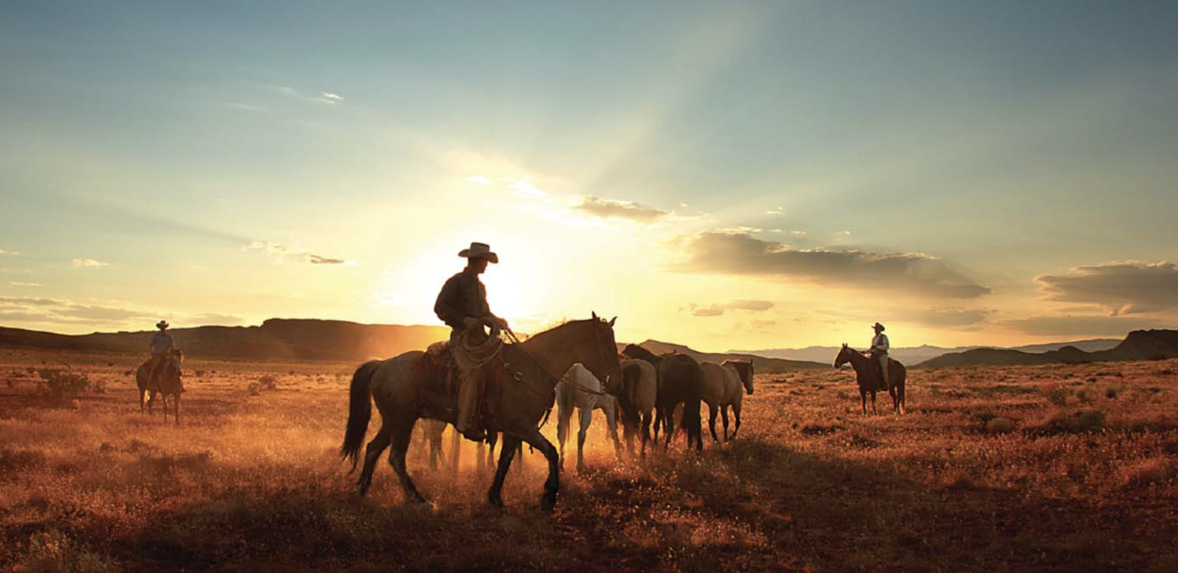 Screenshot 2023-05-29 at 12.40.55 AM.png