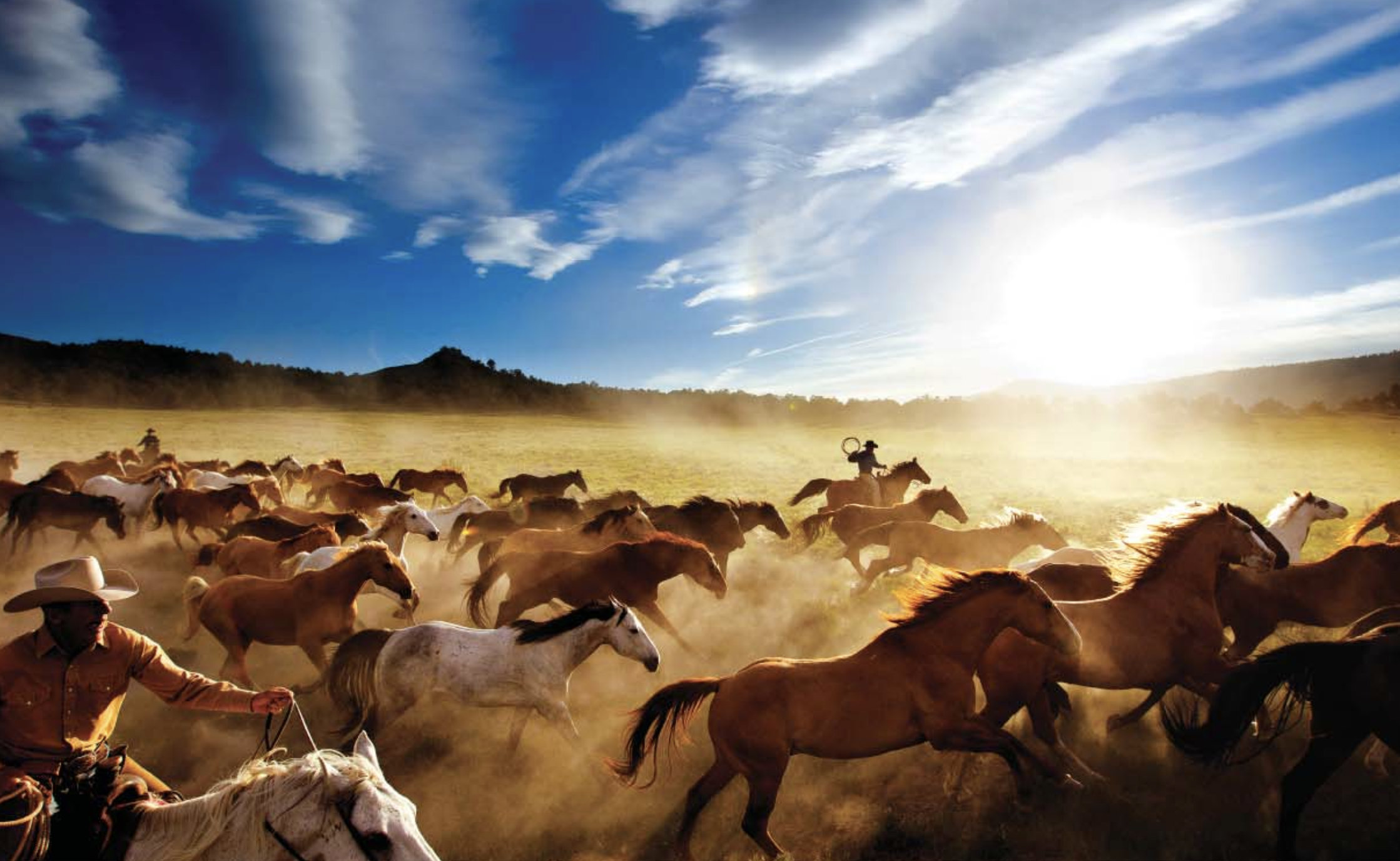 Screenshot 2023-05-23 at 2.04.44 PM.png