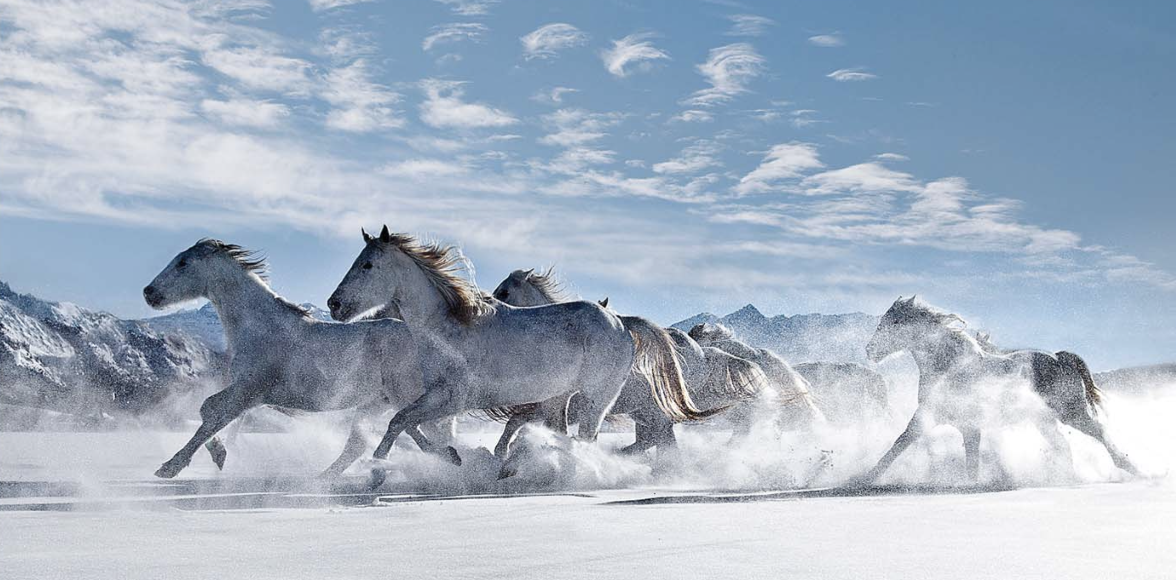 Screenshot 2023-05-23 at 2.09.38 PM.png