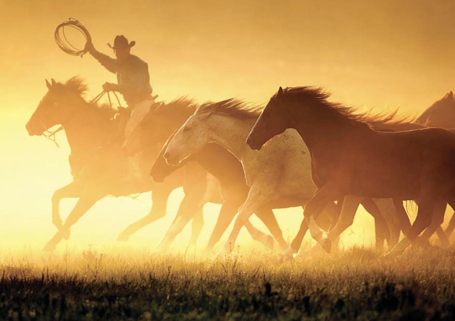 Screenshot 2023-05-23 at 4.04.14 PM.png