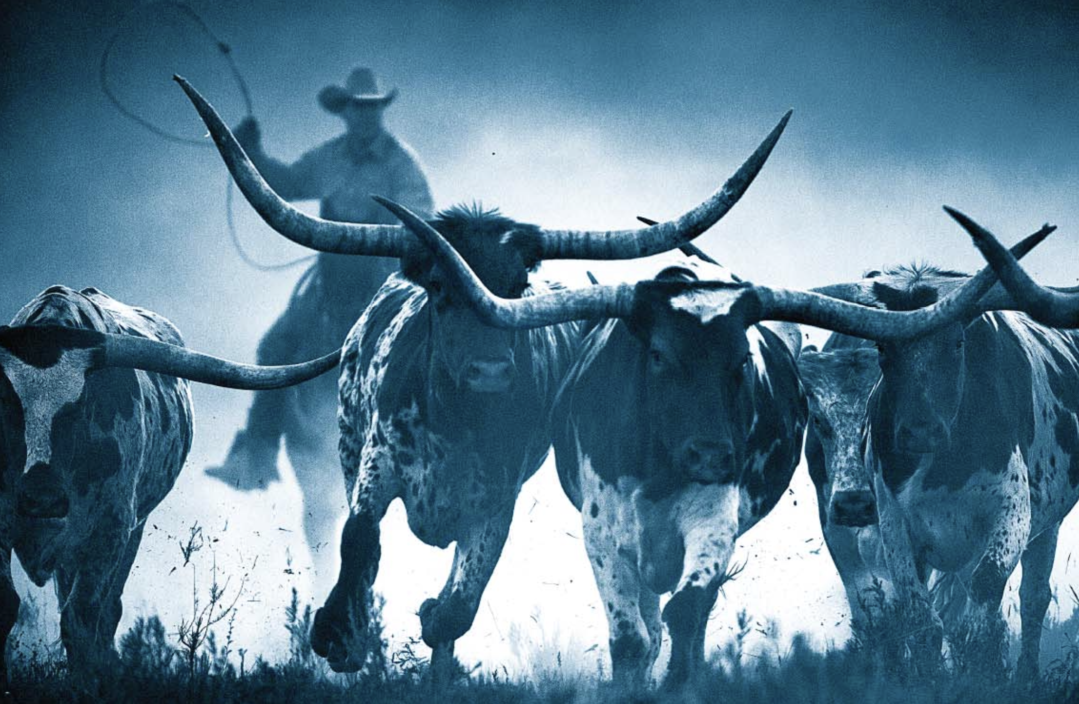 Screenshot 2023-05-23 at 2.05.20 PM.png