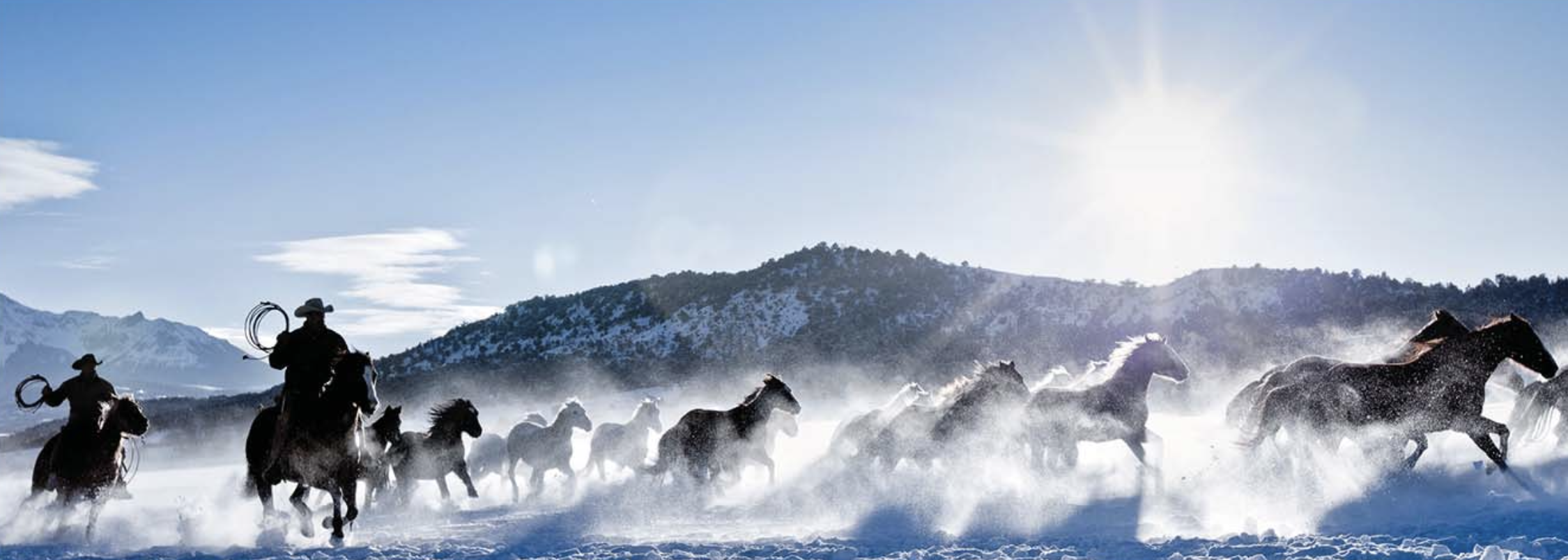 Screenshot 2023-05-23 at 2.07.41 PM.png