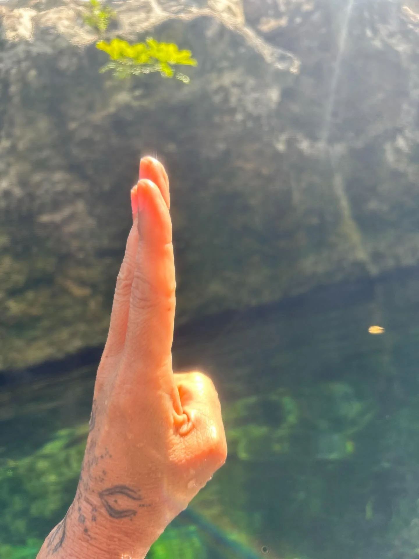 On this Spring Equinox

I stand in my multidimensional self
I stand within a light that I embody through me

And I declare that I am more committed than ever in walking the path in support of the waters, our waters and the water carriers 

Tonight I 