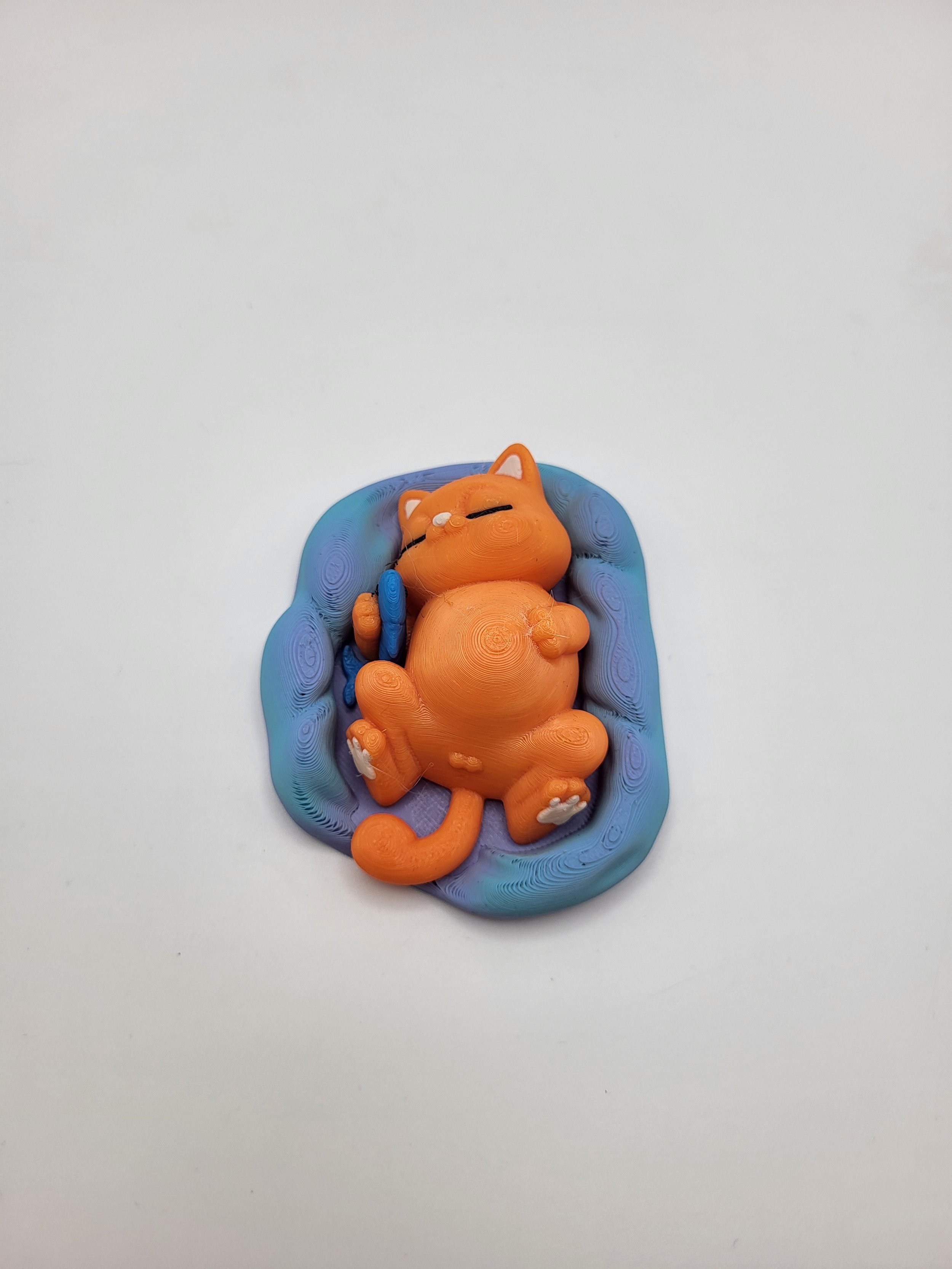 Sleeping Orange Cat.jpg