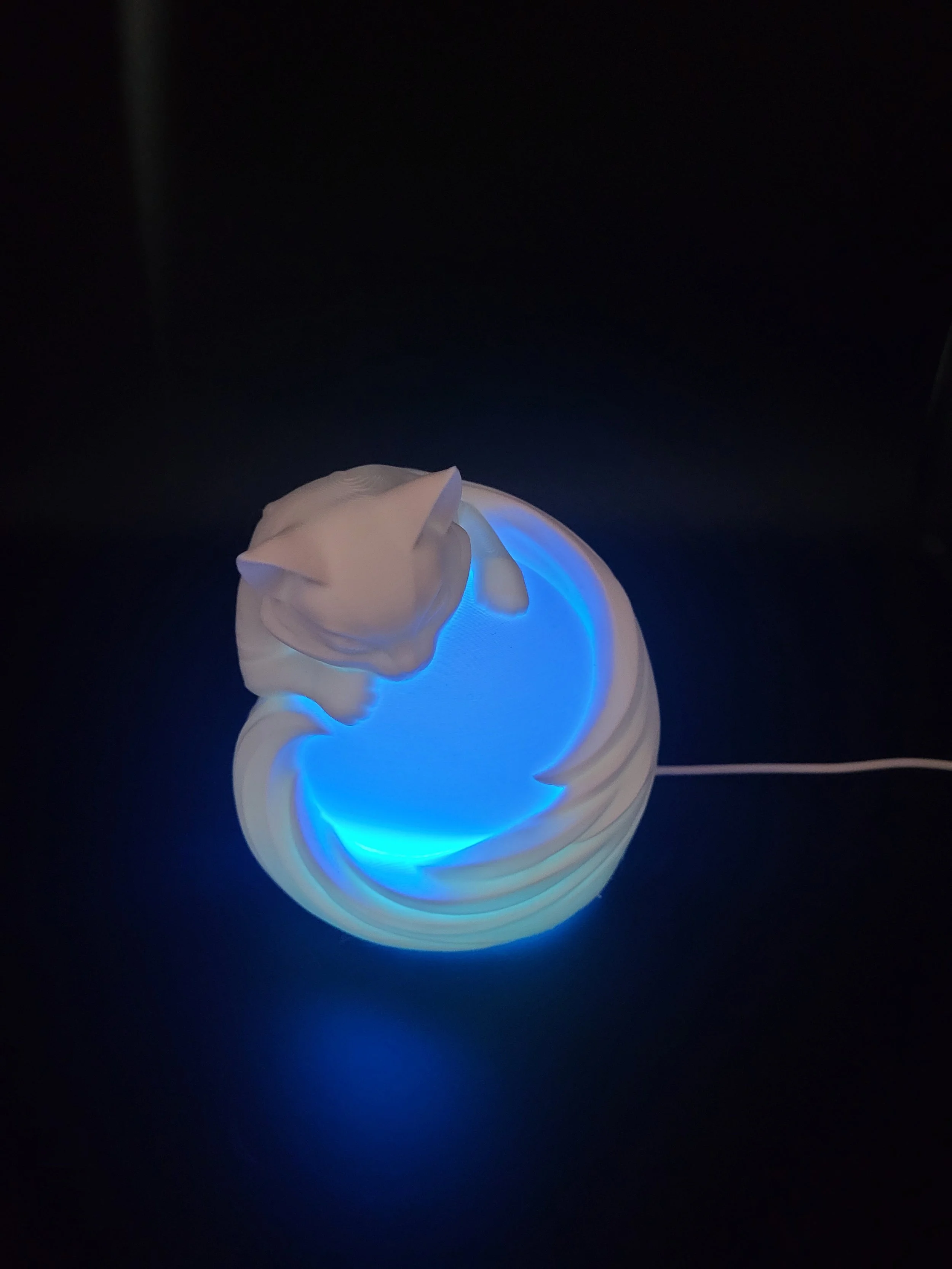 Cat Night Light 6.jpg