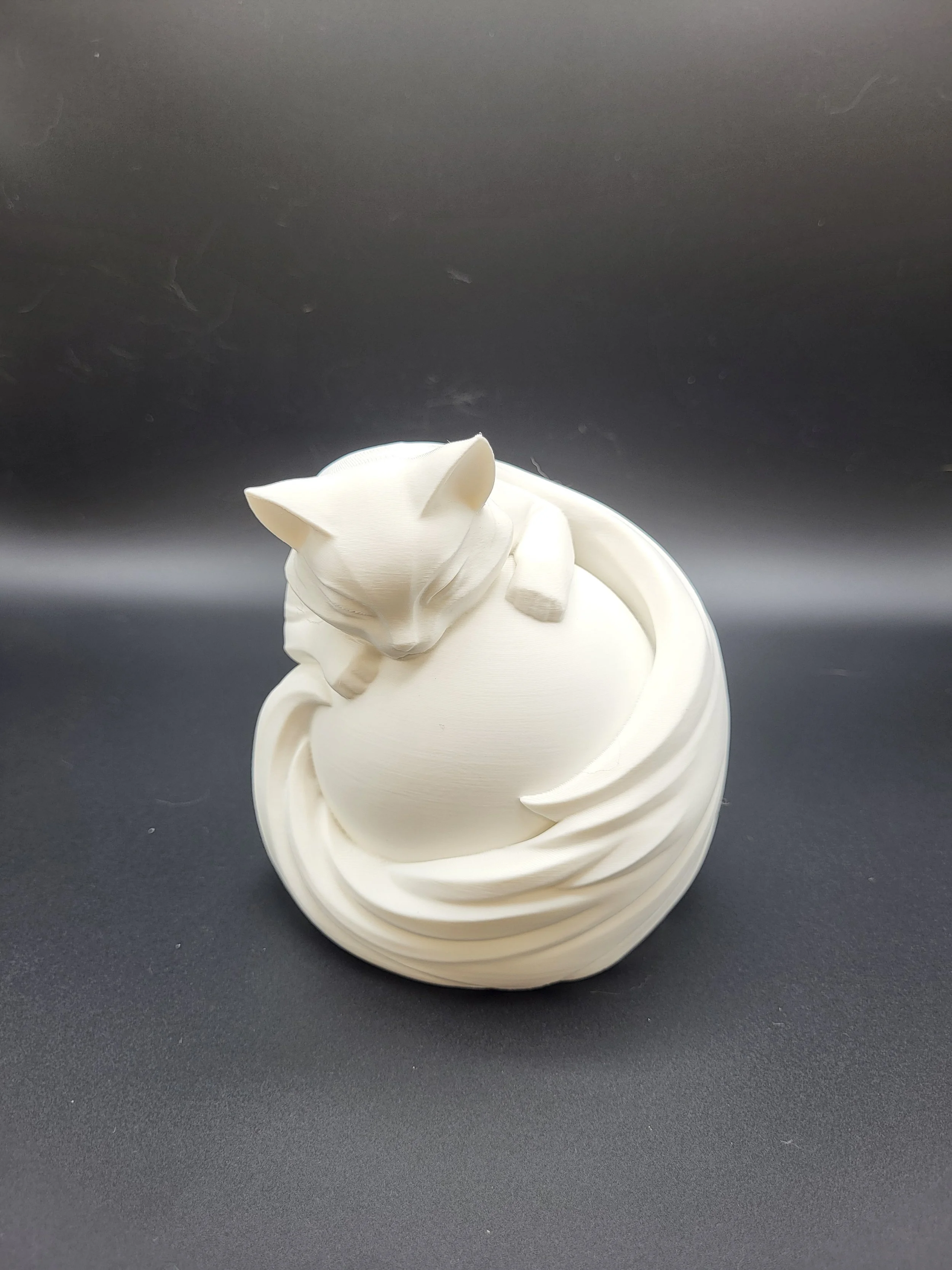 Cat Night Light 1.jpg