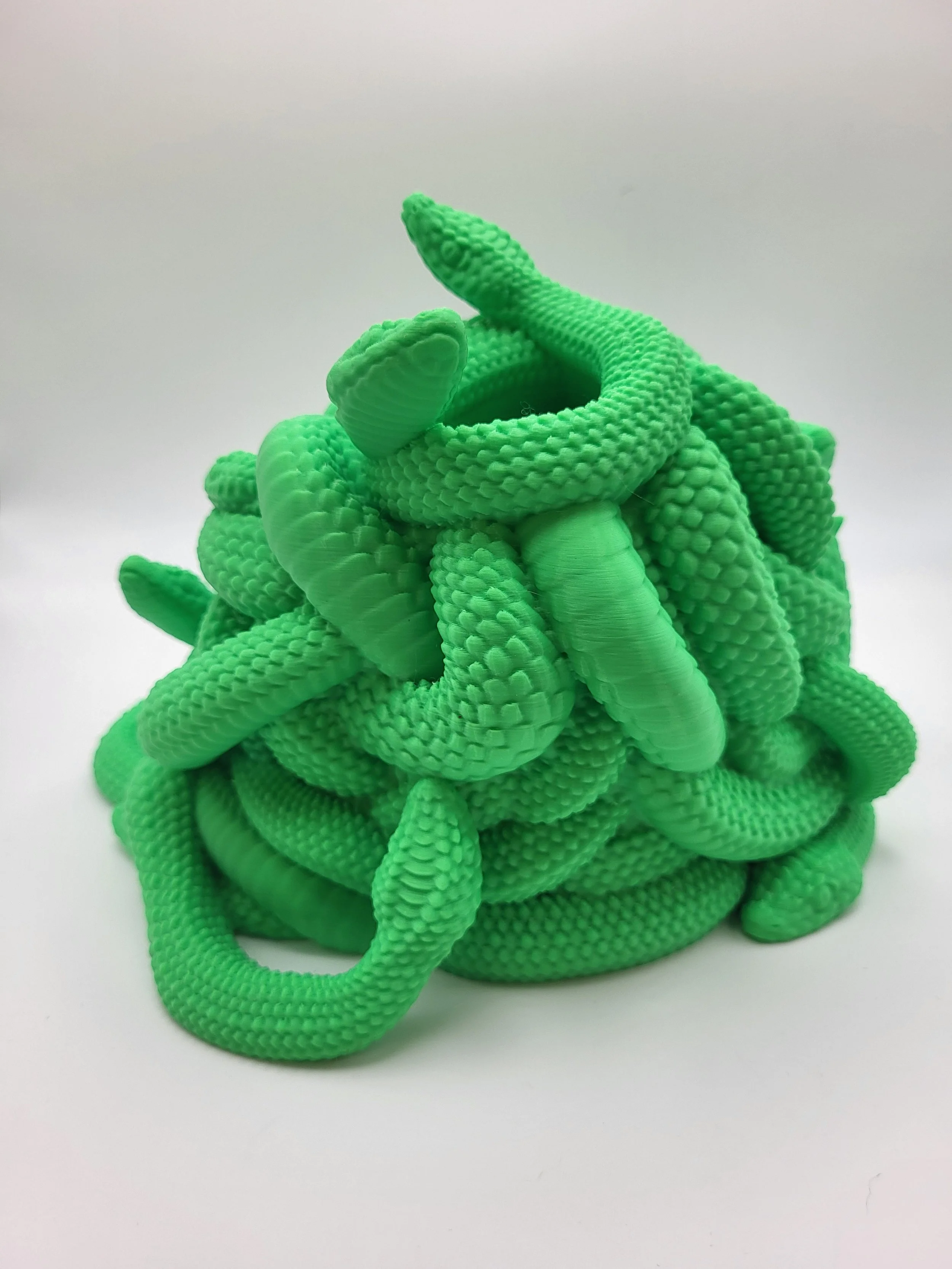 Medusa 3.jpg