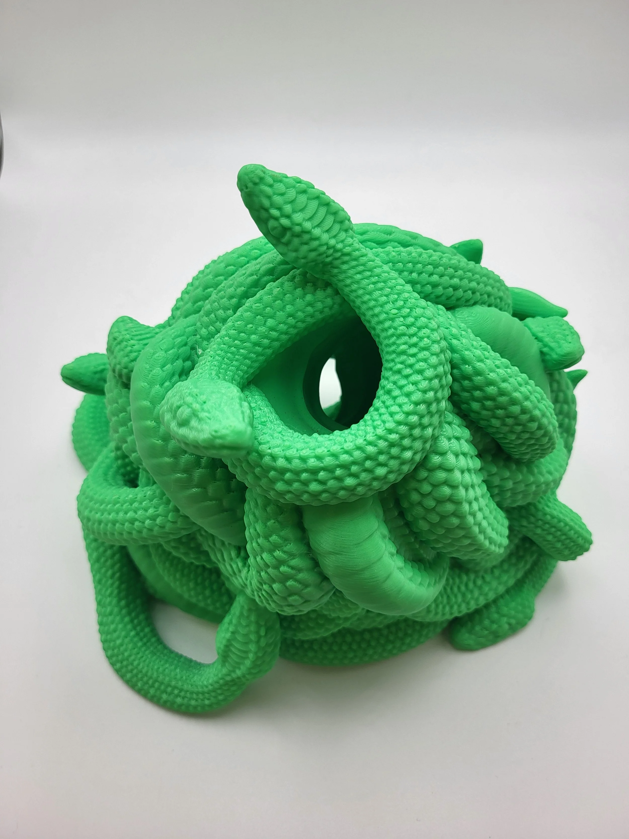 Medusa 5.jpg