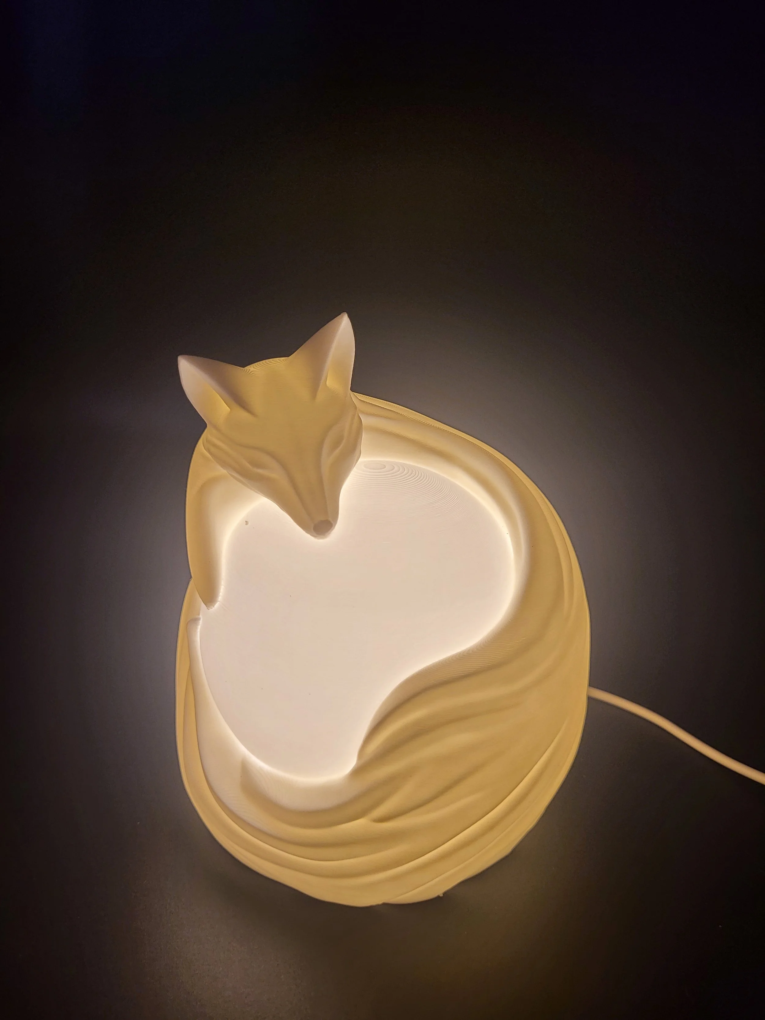 Fox Night Light 5.jpg