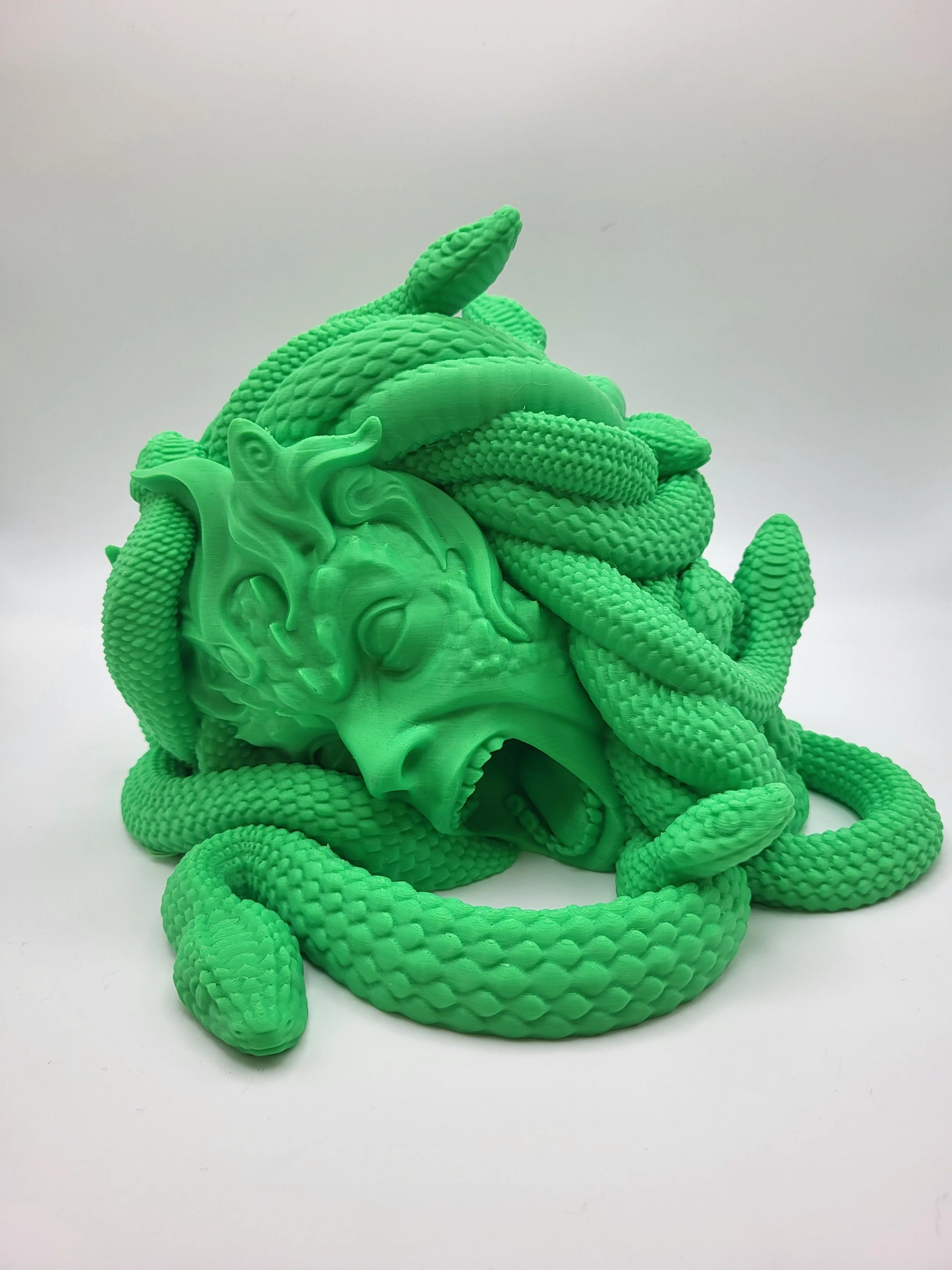 Medusa 1.jpg