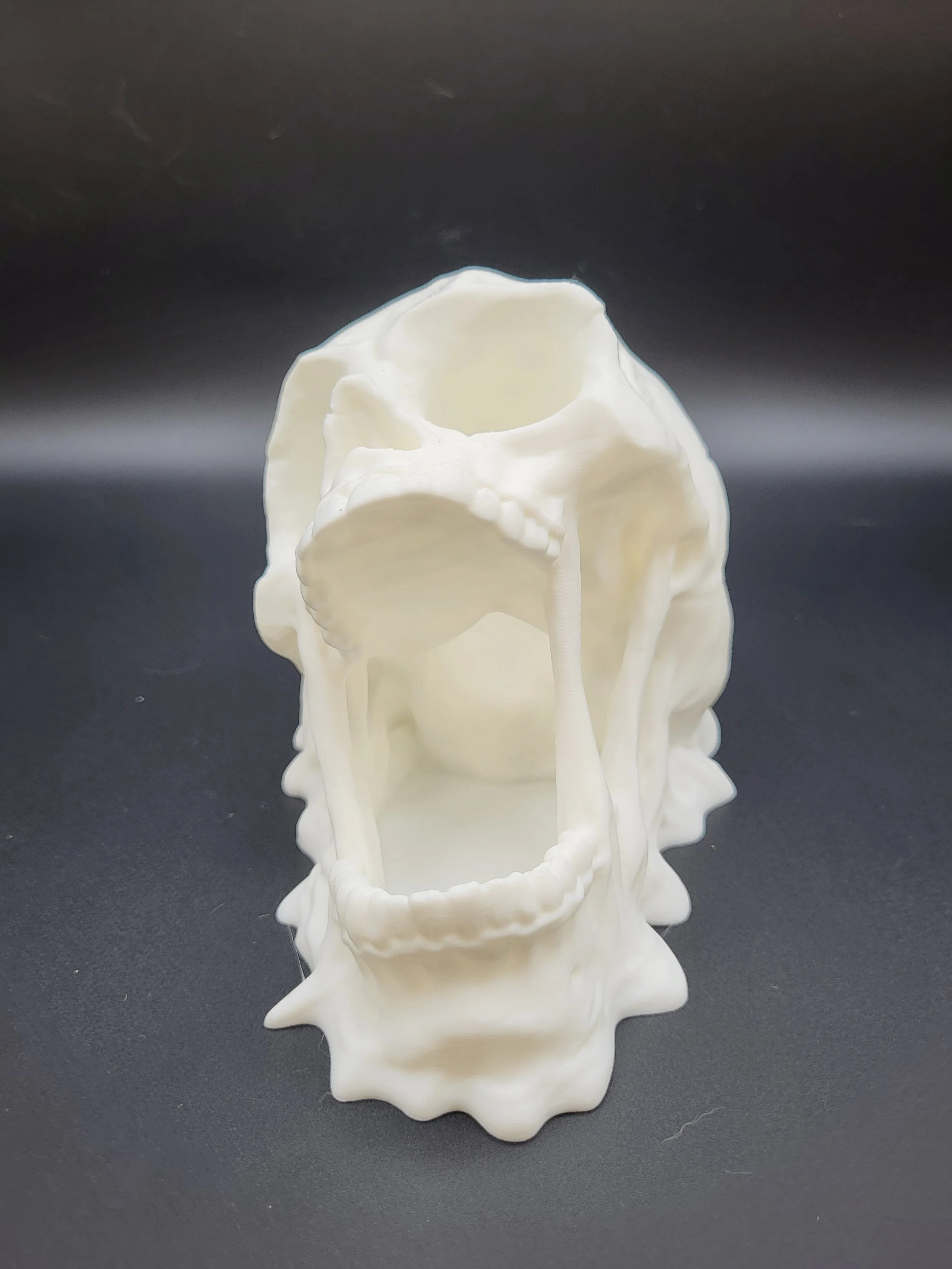 Screaming Skull Mini Dice Tower 1.jpg