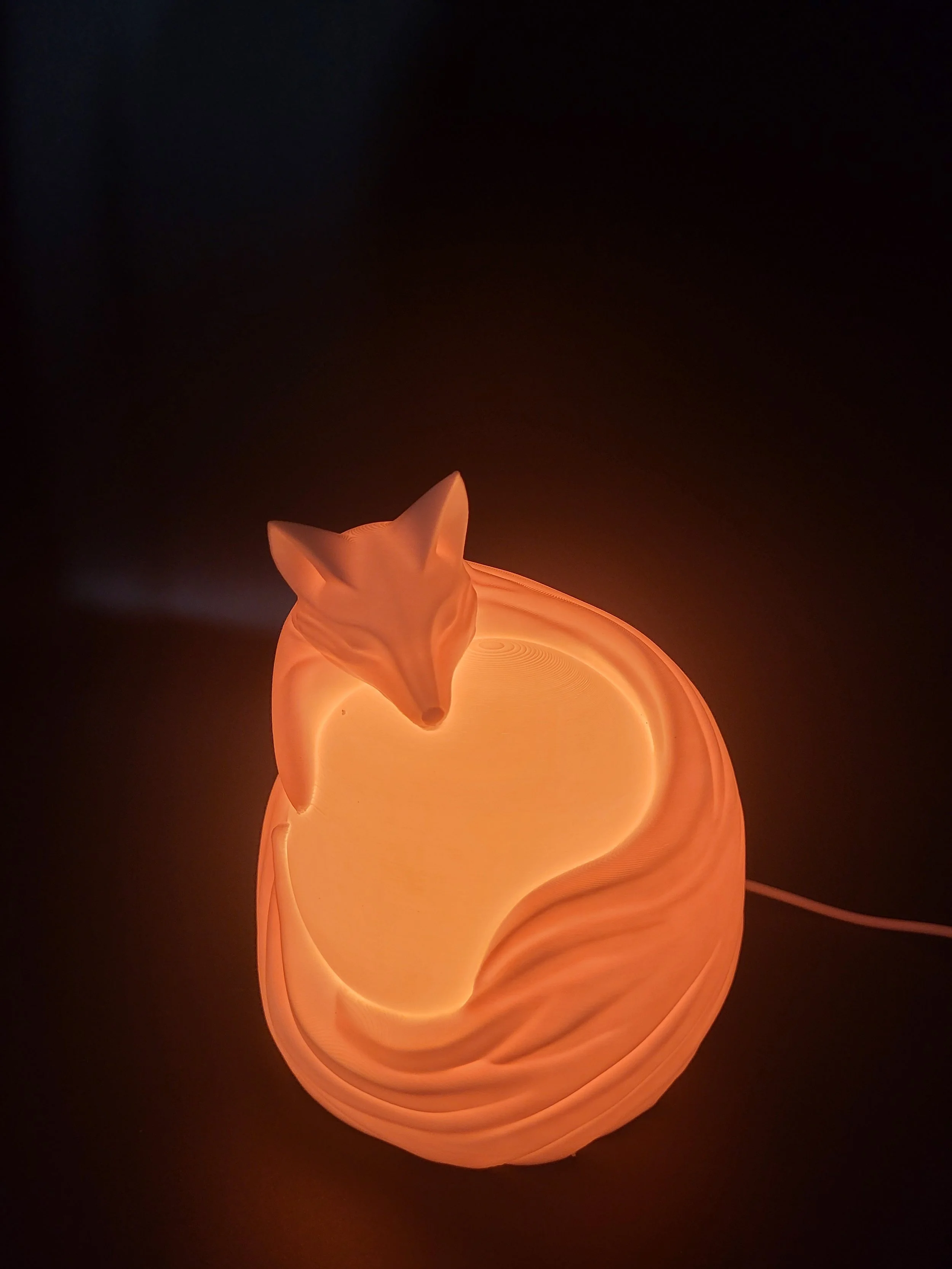 Fox Night Light 6.jpg