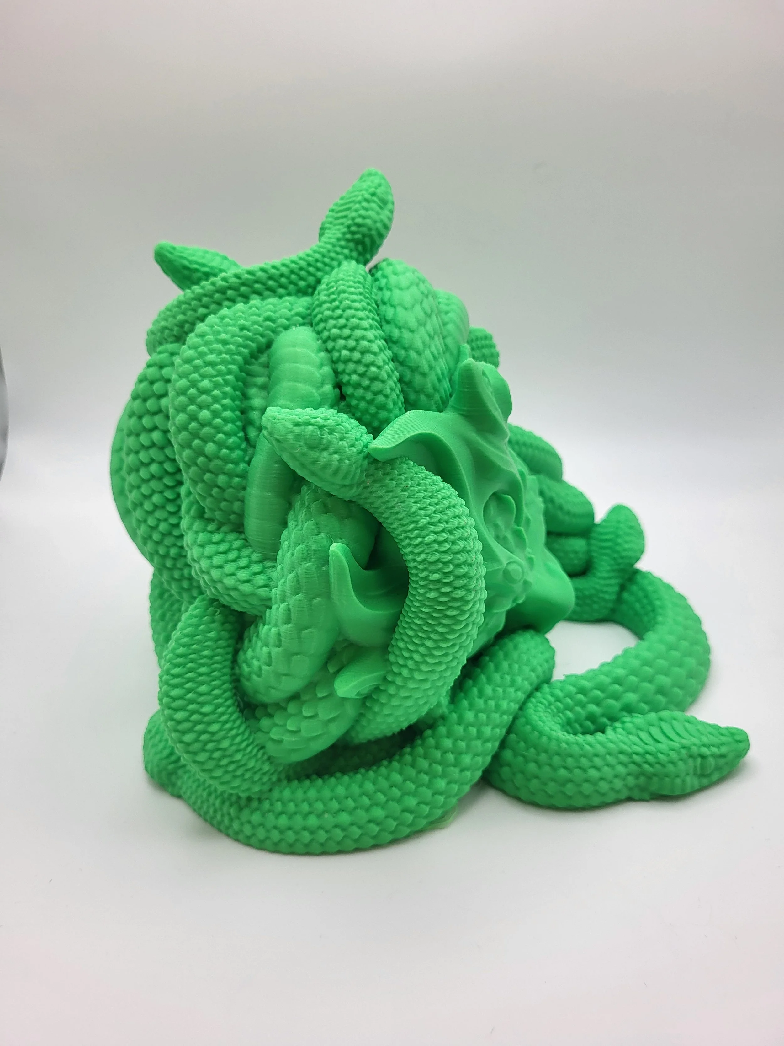 Medusa 4.jpg