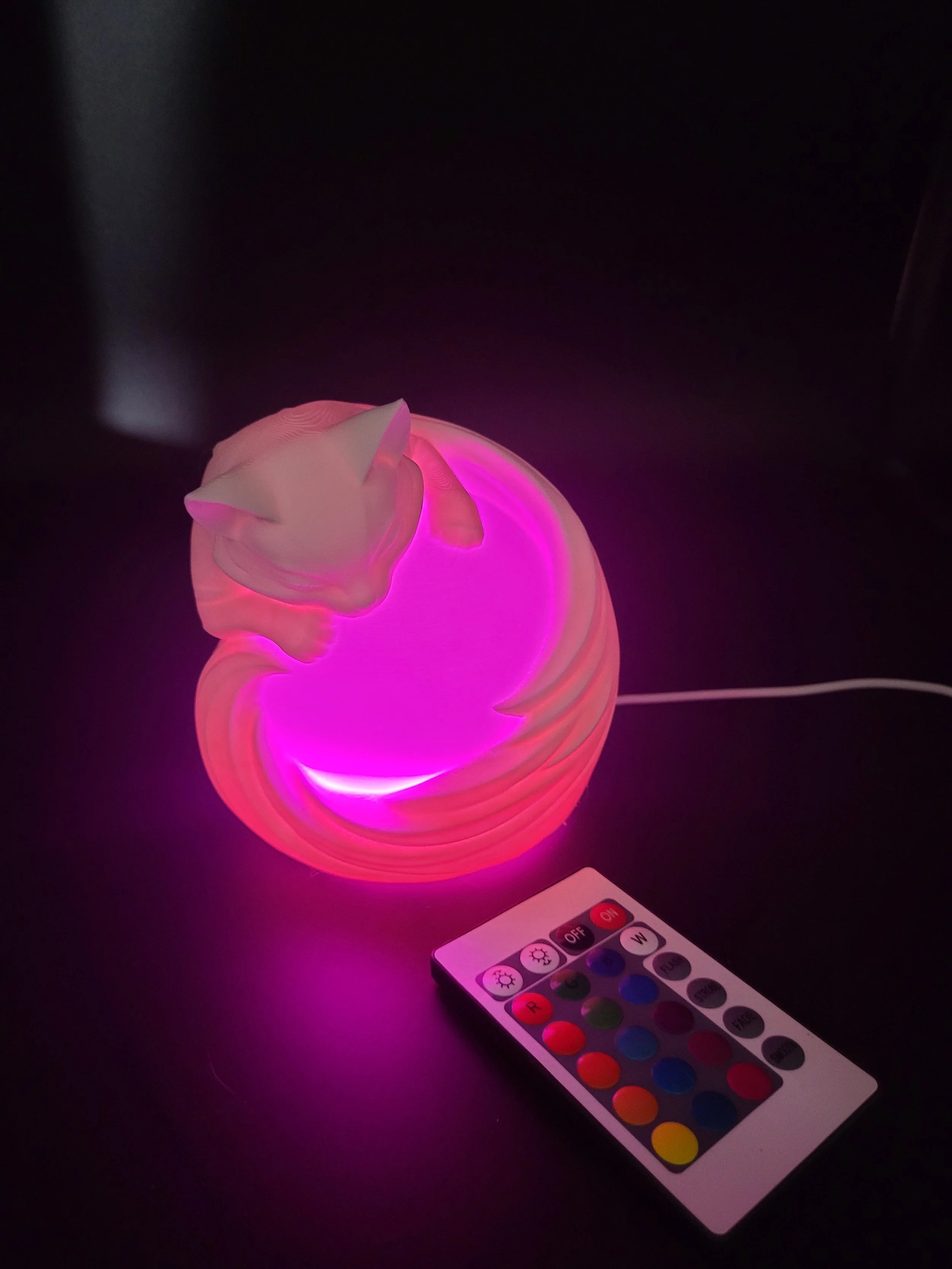 Cat Night Light 5.jpg