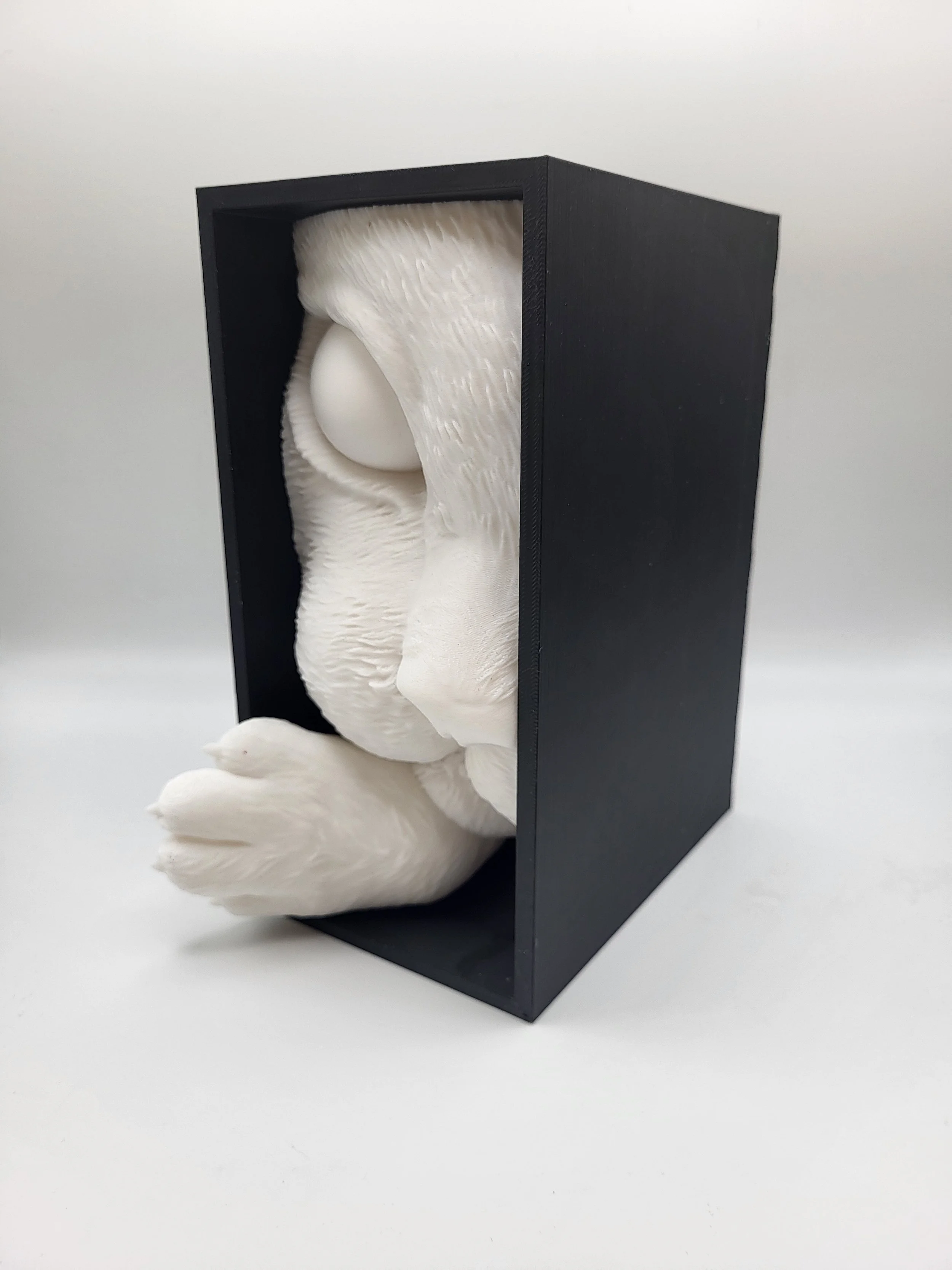 Cat Book Nook 2.jpg