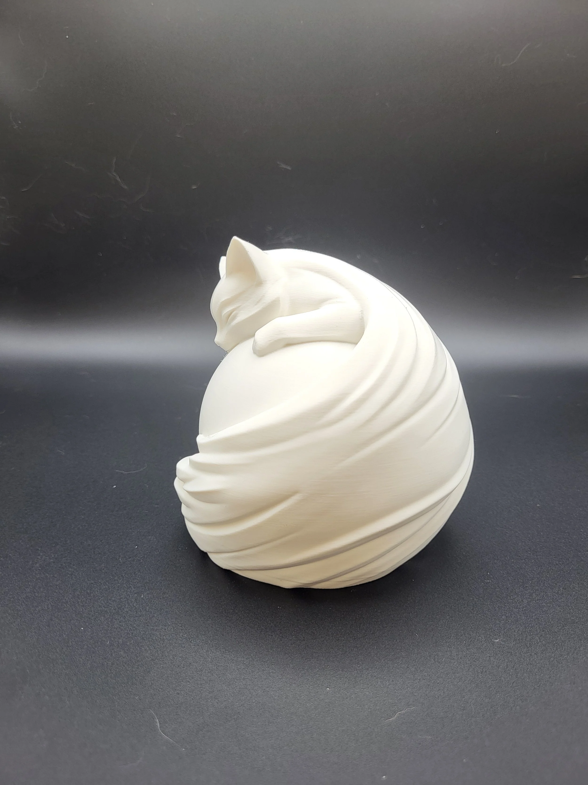 Cat Night Light 3.jpg