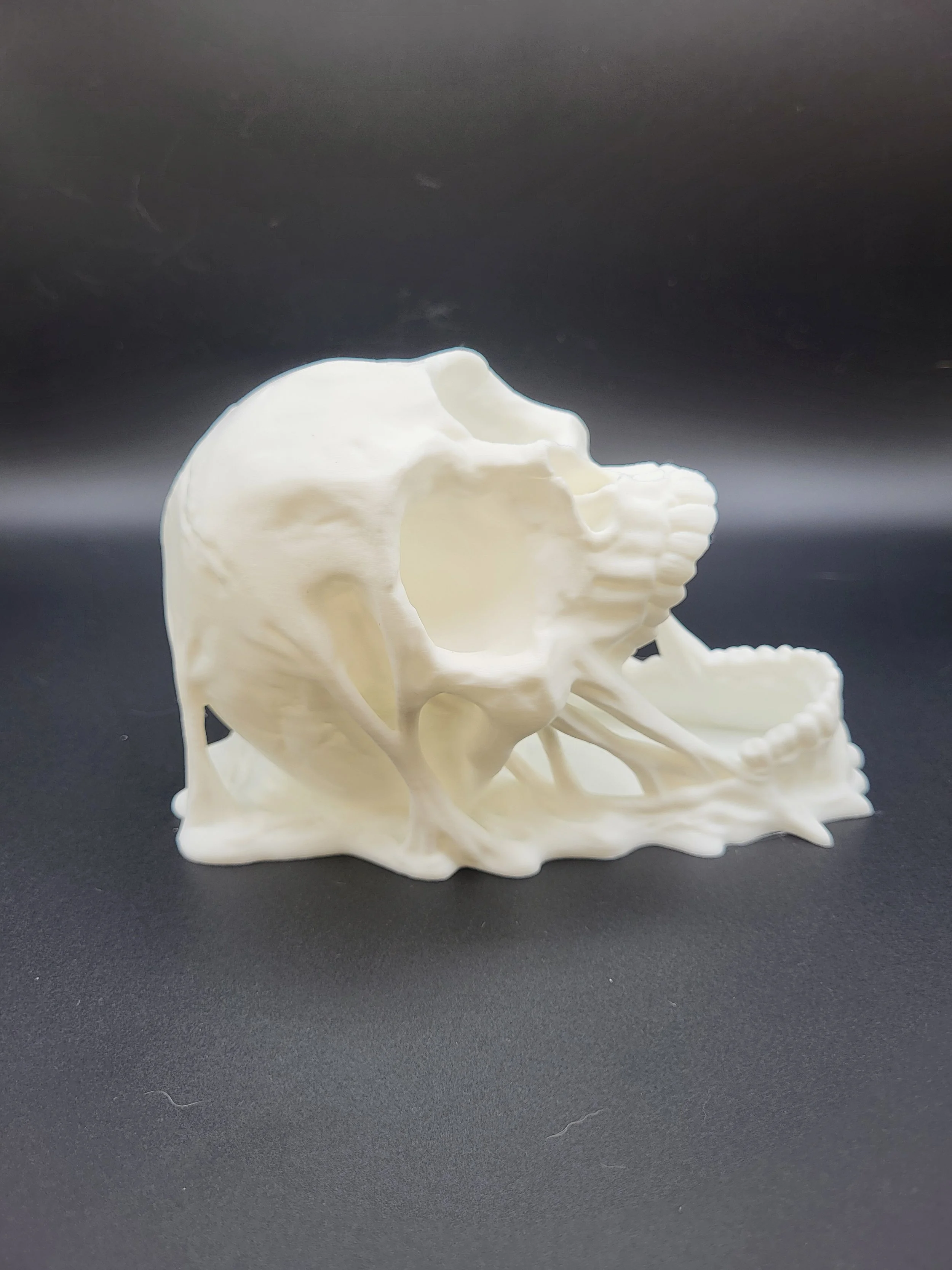 Screaming Skull Mini Dice Tower 5.jpg