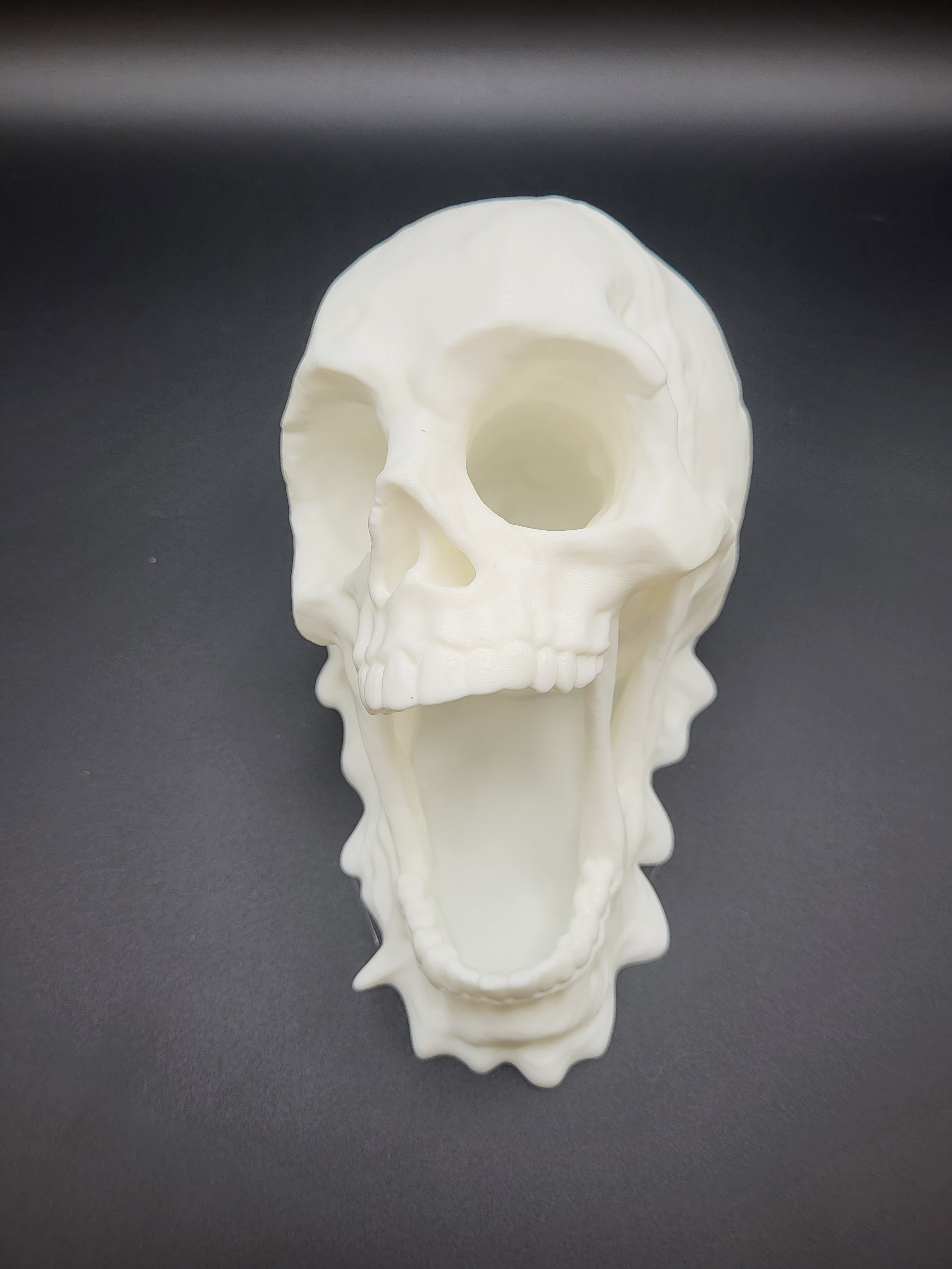 Screaming Skull Mini Dice Tower 2.jpg
