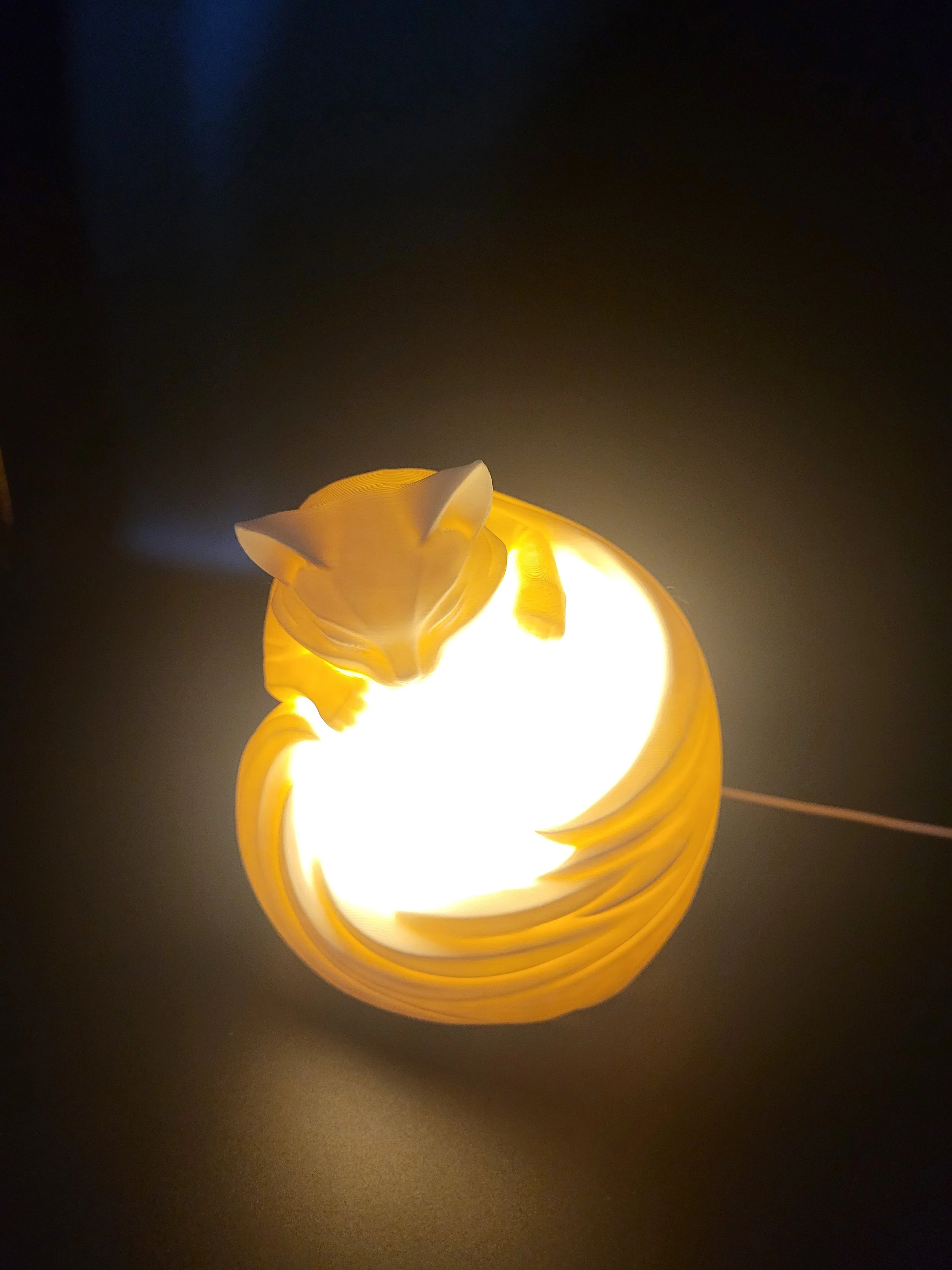 Cat Night Light 8.jpg