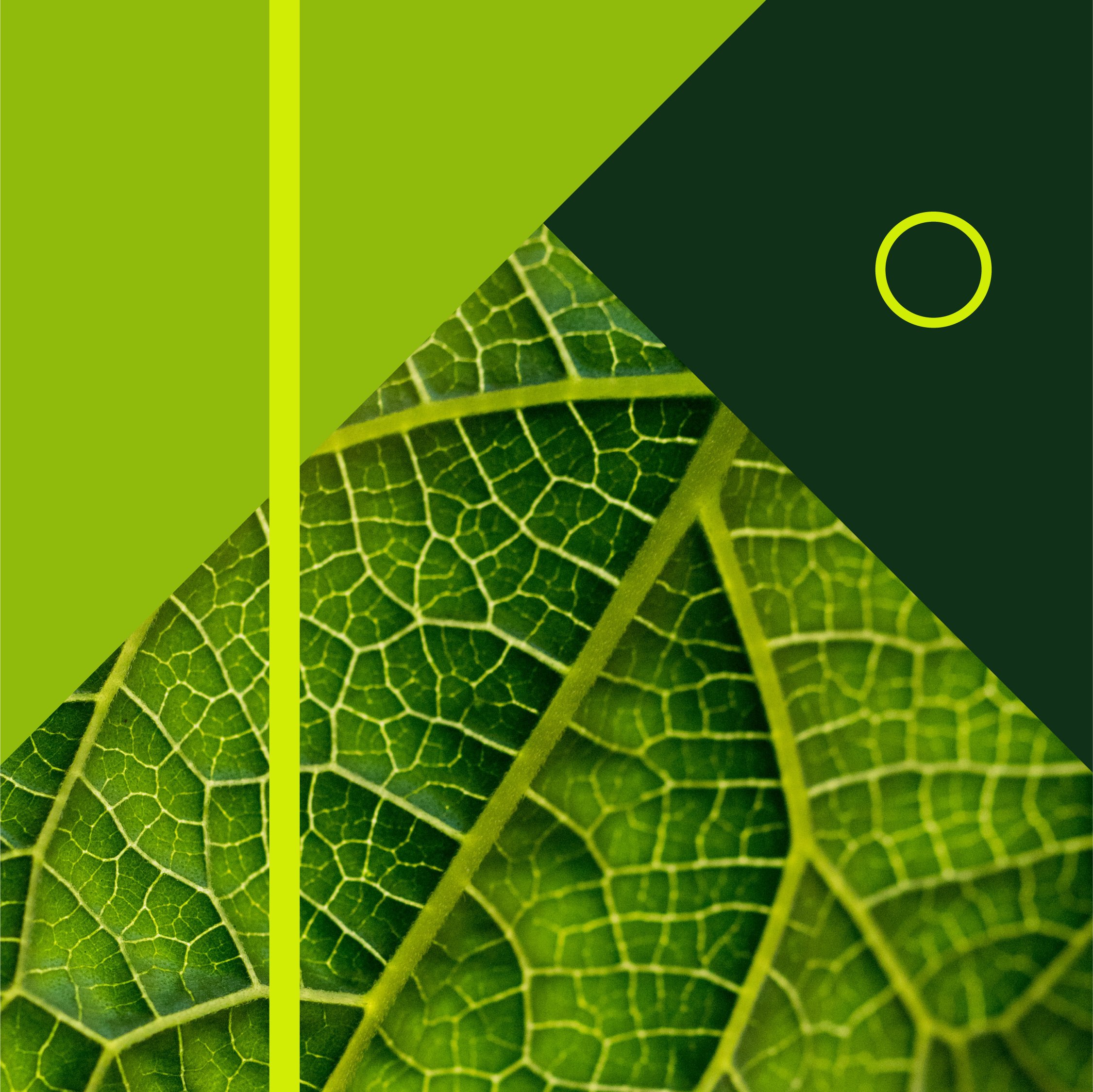 Texture in Design