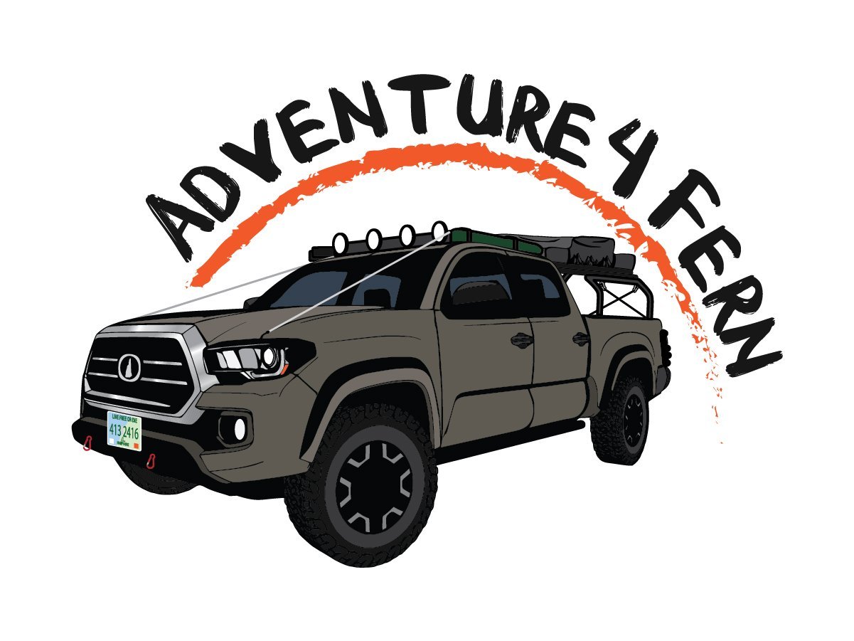 Adventure 4 Fern