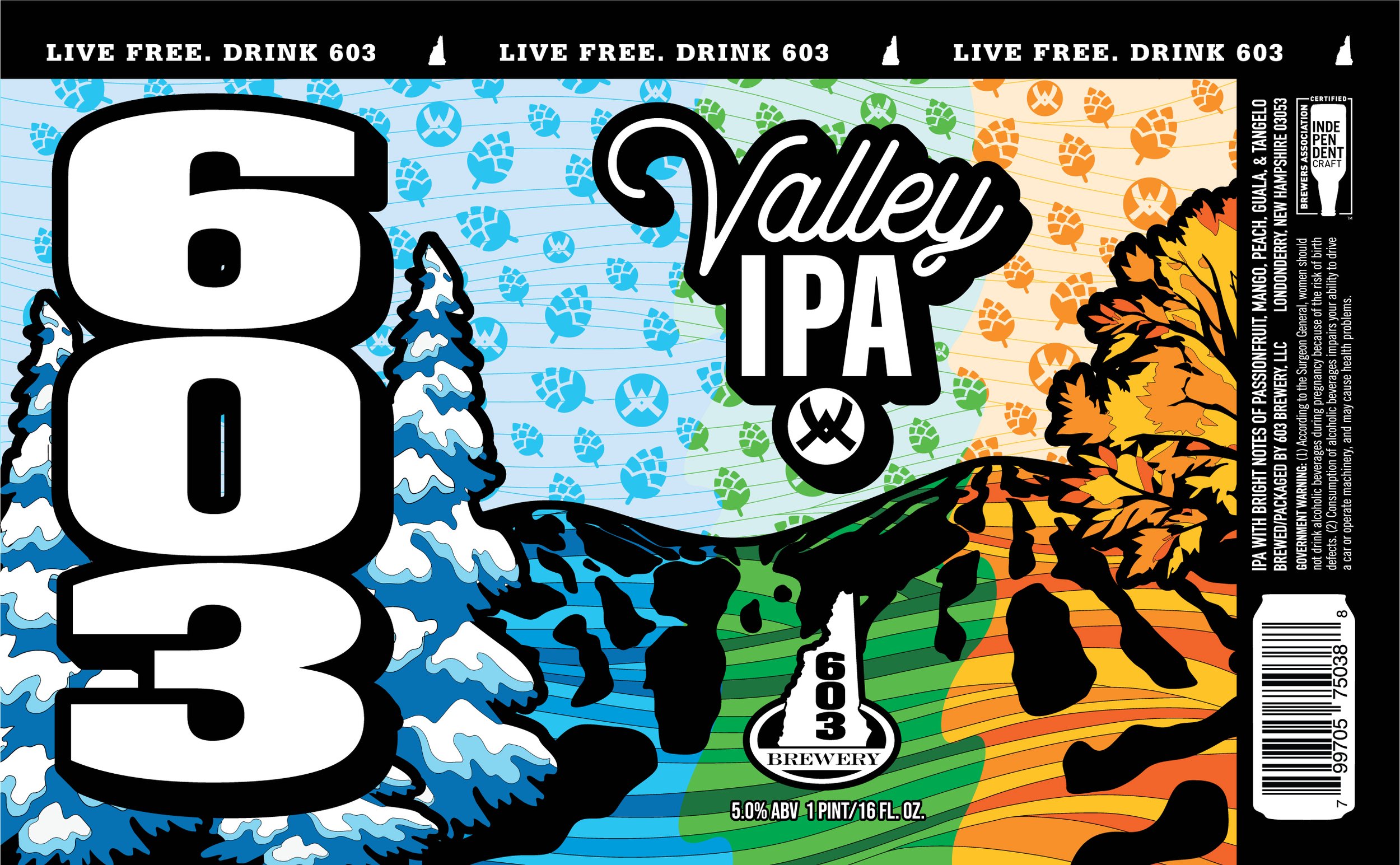603 Valley IPA