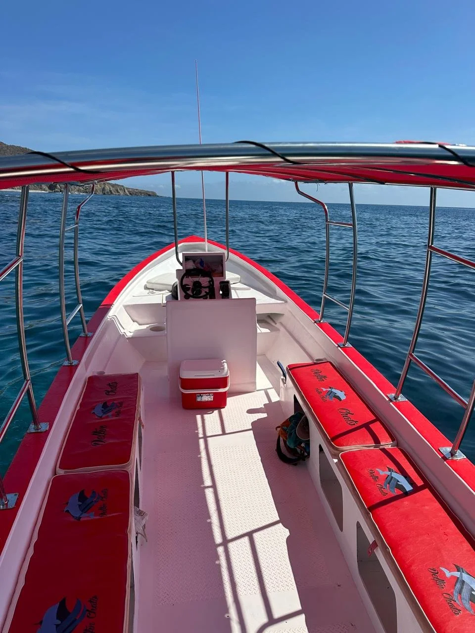 Boat trip to Isla Cerralvo
