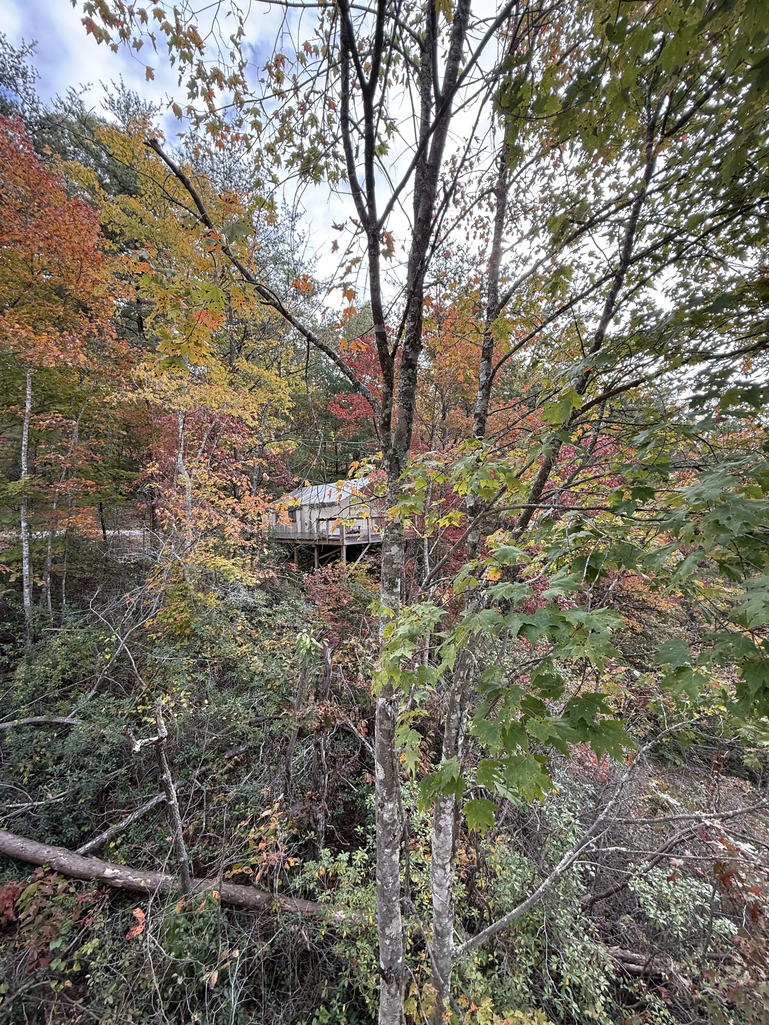 CABIN IN WOODS2.jpeg