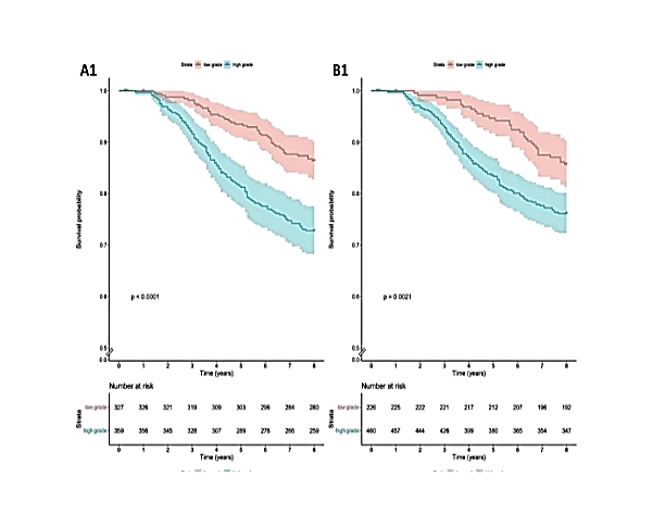 Survival analysis graphs.