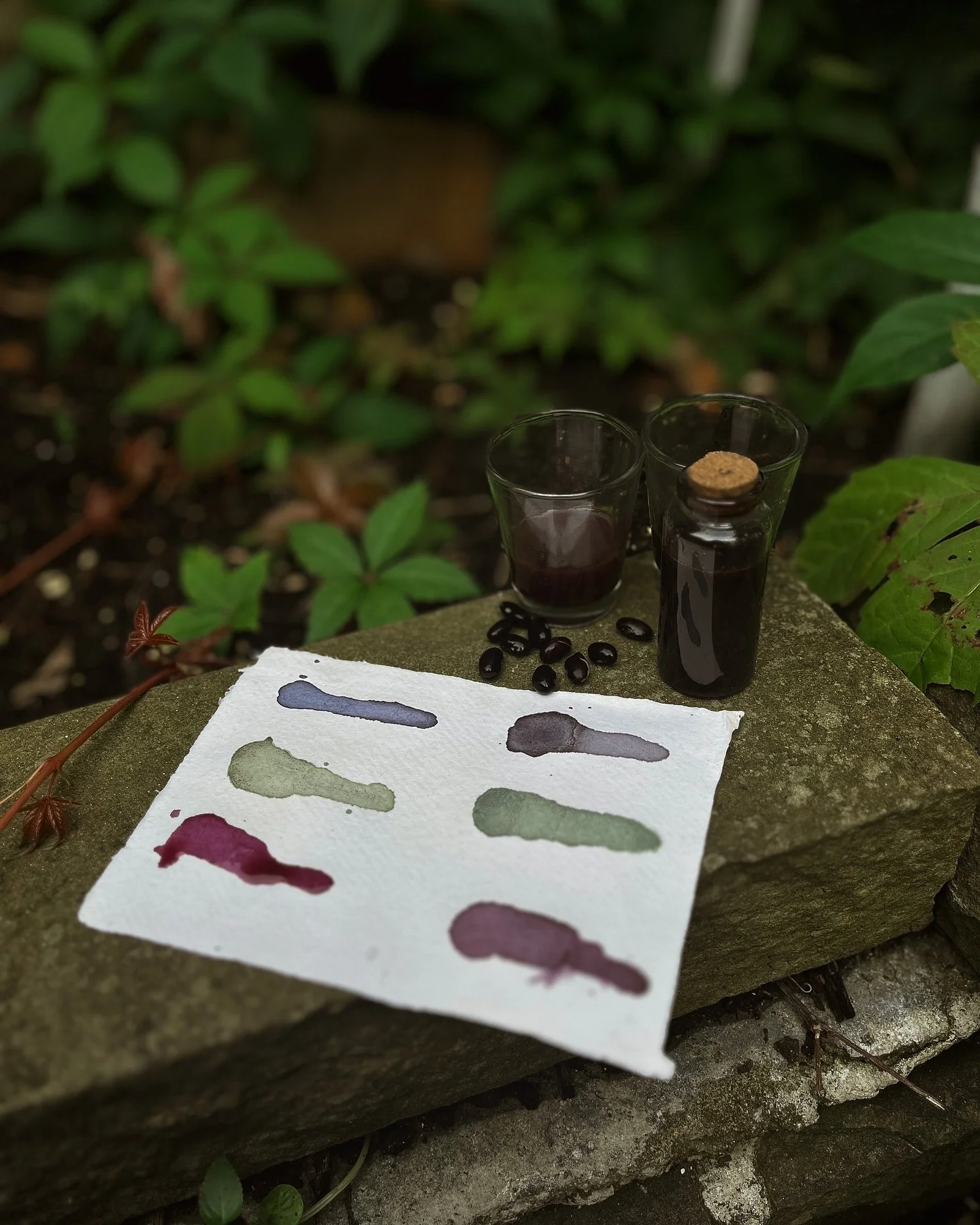 ⟡𓋼 𓇗 I’m very excited to be leading a natural ink workshop at @omvedgardens on the 2nd August!
We will be making drawing ink from black beans to learn all about natural dye processes and how you can do them at home <3
⟡𓋼 𓇗 𓆸 𓆇 𓆨