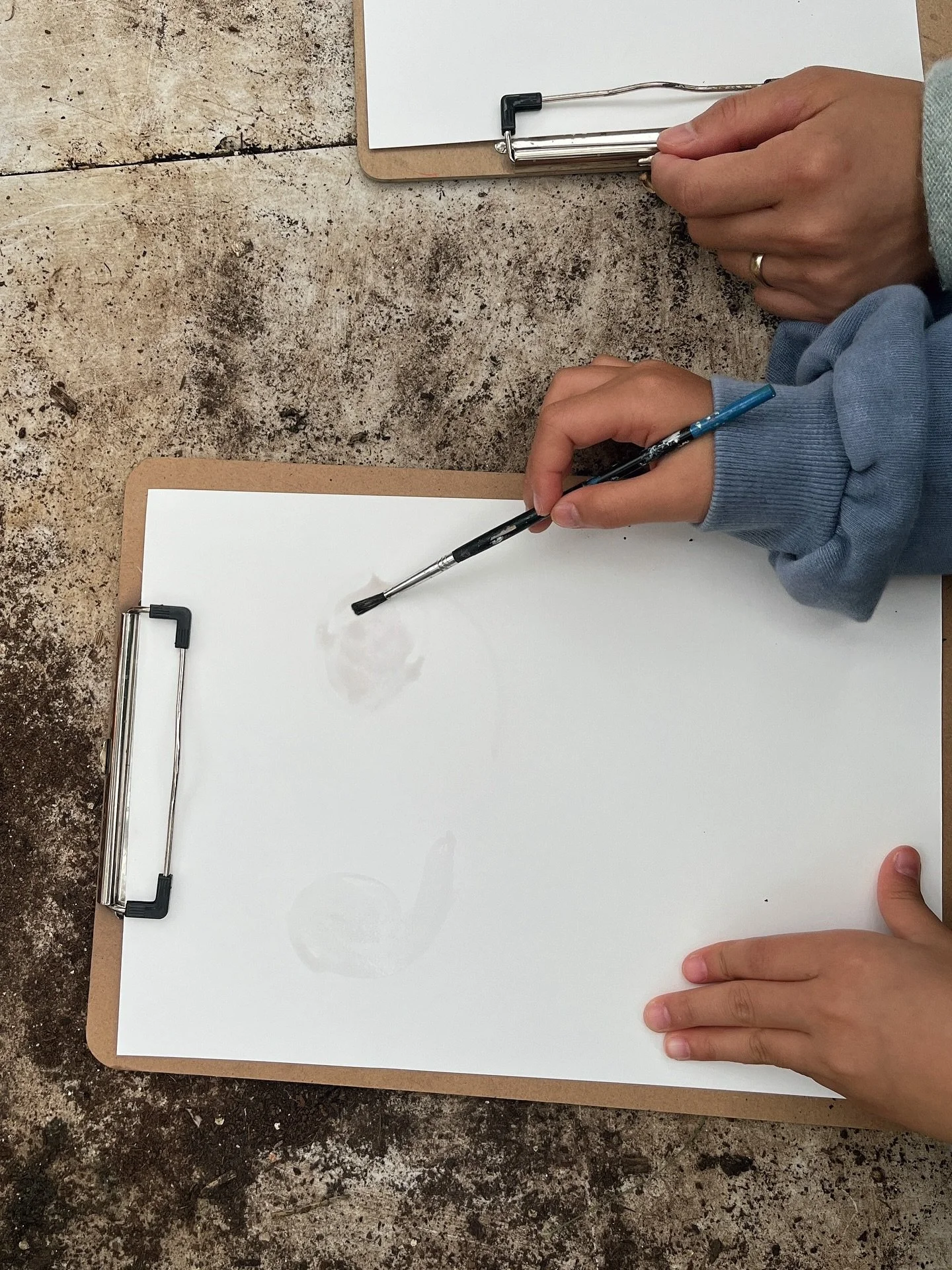 𓇗 𓆱𖣂 ⋆.˚a few images from my natural dye workshop at the Omved Gardens this August 𖦹⋆✮⋆.˚ 

𓇗 𓆱𖣂 it was so wonderful to see so many people from all ages engaging with natural inks 

𓇗 𓆱𖣂 in this workshop titled the Magic of Black Beans, we 