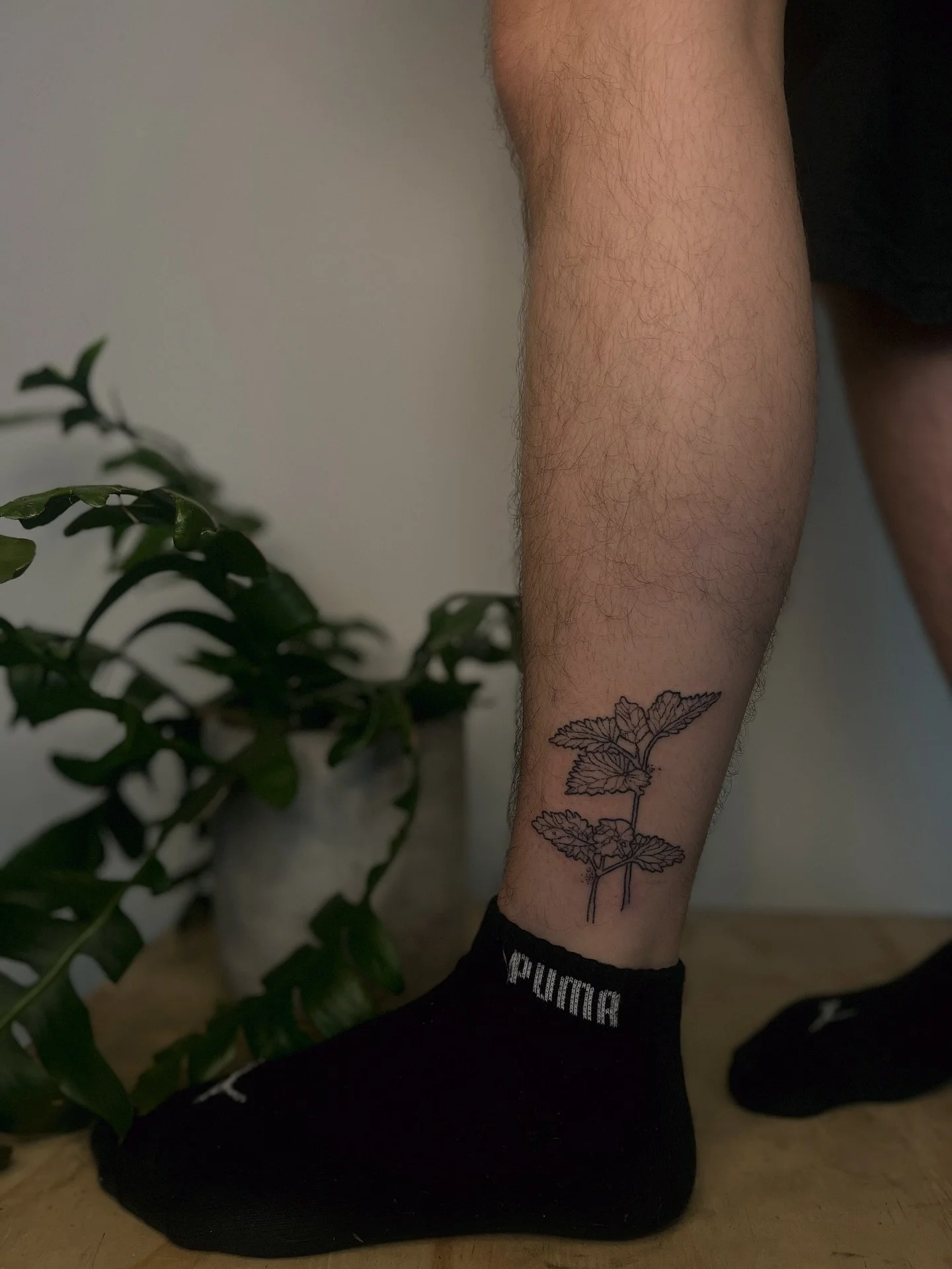 𓇗 𖡼 nettle tattoo from my apothecary flash 𖡼𓇗 handpoked for lee&rsquo;s first! 𓇗 

✴︎ message to book in, I have space for you! ✴︎

#brighton #handpoke #handpokeartist #brightonandhove #brightontattoo #tattoo #tattooartist #finelinetattoo#spirit