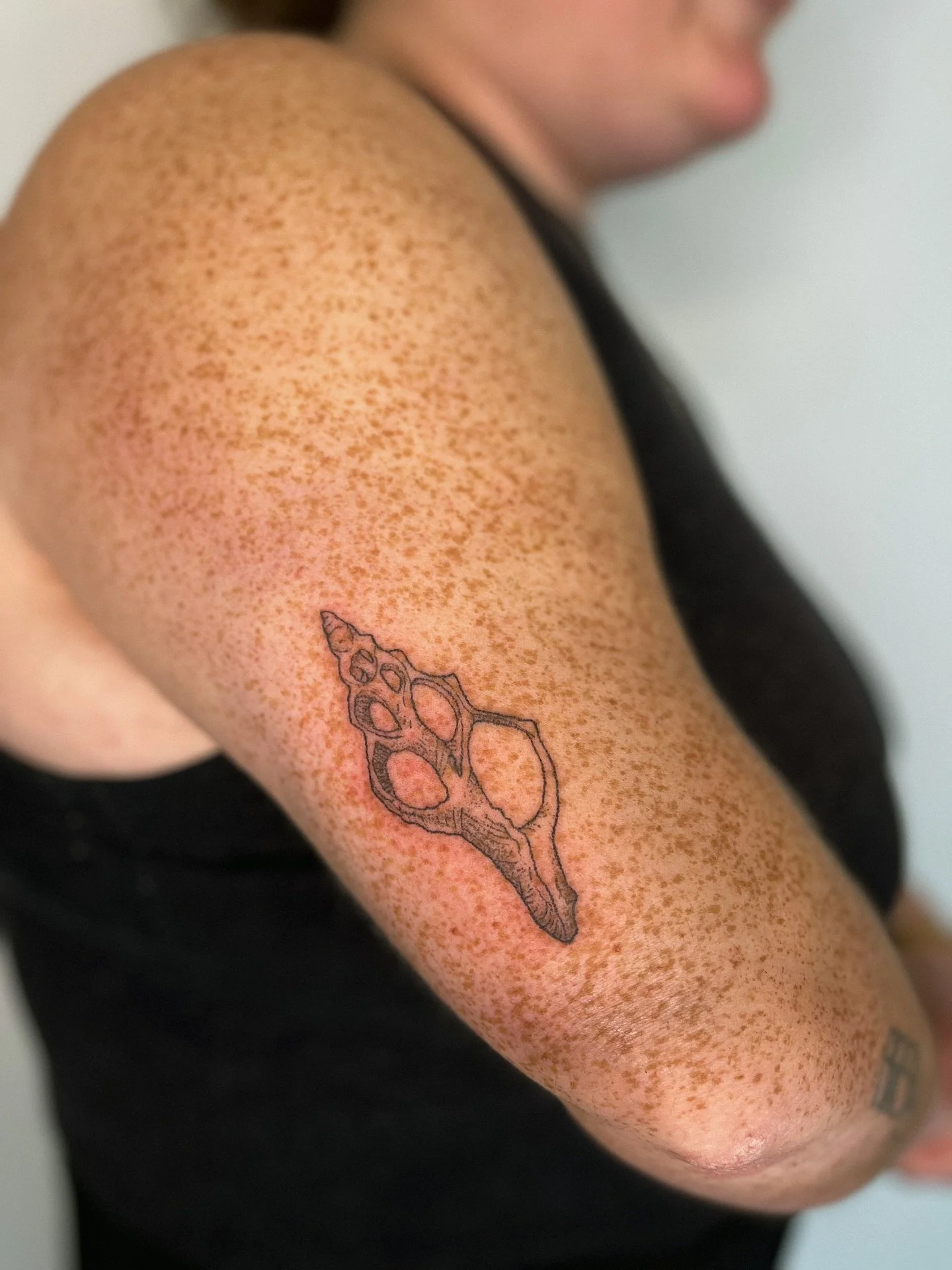 ⋆.˚𖦹 custom handpoke, weathered seashell ⋆.˚𖦹 so lovely to tattoo sea themed designs 5 minutes from the shore ⋆.˚𖦹

⋆.˚𖦹⋆.˚𖦹
✴︎ message to book in, I have space for you! ✴︎

#brighton #handpoke #handpokeartist #brightonandhove #brightontattoo #t