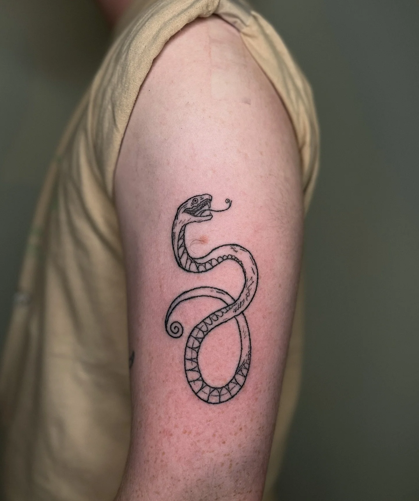 𓆙snake friend for toby 𓆙 handpoke tattoo on his arm 𓆙𓆙 

𓆙𓆙
✴︎ message to book in, I have space for you! ✴︎

#brighton #handpoke #handpokeartist #brightonandhove #brightontattoo #tattoo #tattooartist #finelinetattoo#spiritualtattoo #magictattoo