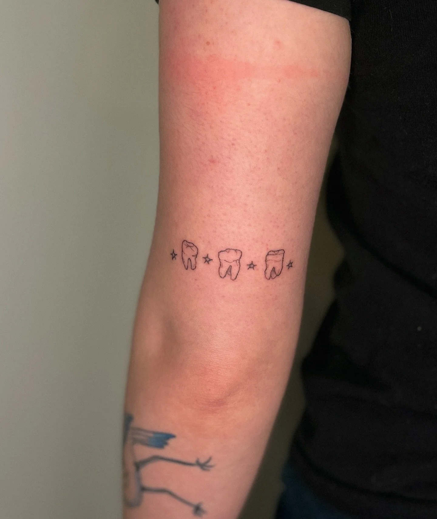 𓄒 ✴︎ teeth ✴︎ teeth ✴︎ teeth ✴︎𓄒 handpoked tattoo from my spooky flash 𓄒 

✴︎ message to book in, I have space for you! ✴︎

#brighton #tattoo #handpoketattoo #teethtattoo #startattoo