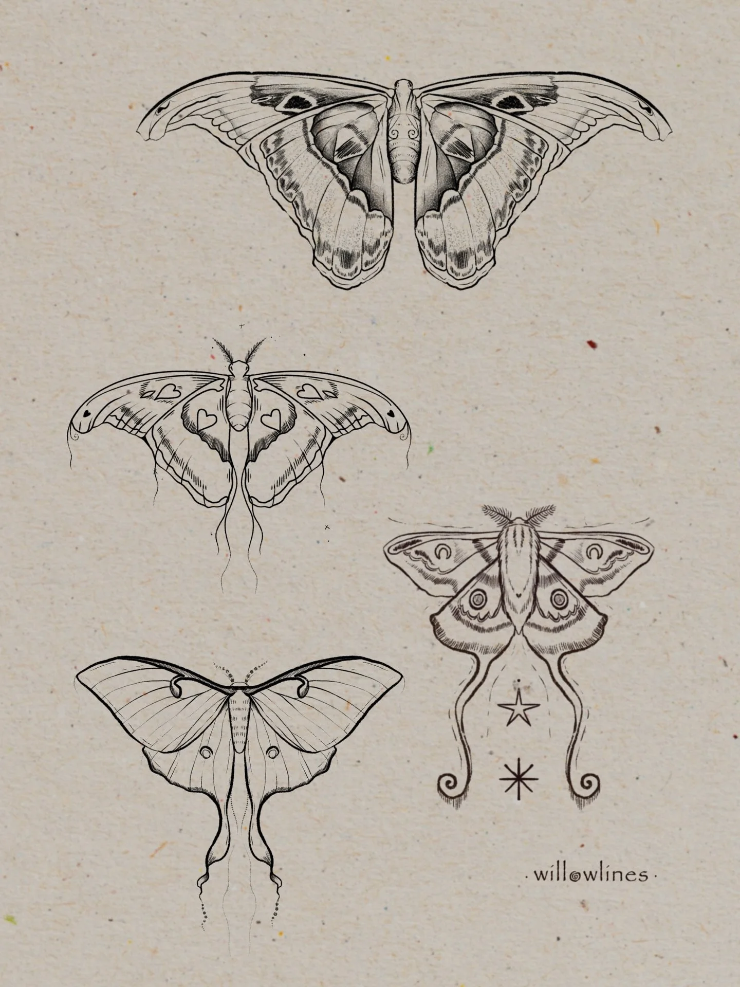 ཐིཋྀ 𝖙𝖍𝖊 𝖒𝖔𝖙𝖍 𝖋𝖑𝖆𝖘𝖍 ཐིཋྀ

𖦹 handpoked tattoos
𖦹 non-repeatable flash &bull; please message even if claimed as I can redraw a similar custom &bull;
𖦹 flexible placements
𖦹 prices in my &lsquo;flash to book&rsquo; highlights

✷ i offer 