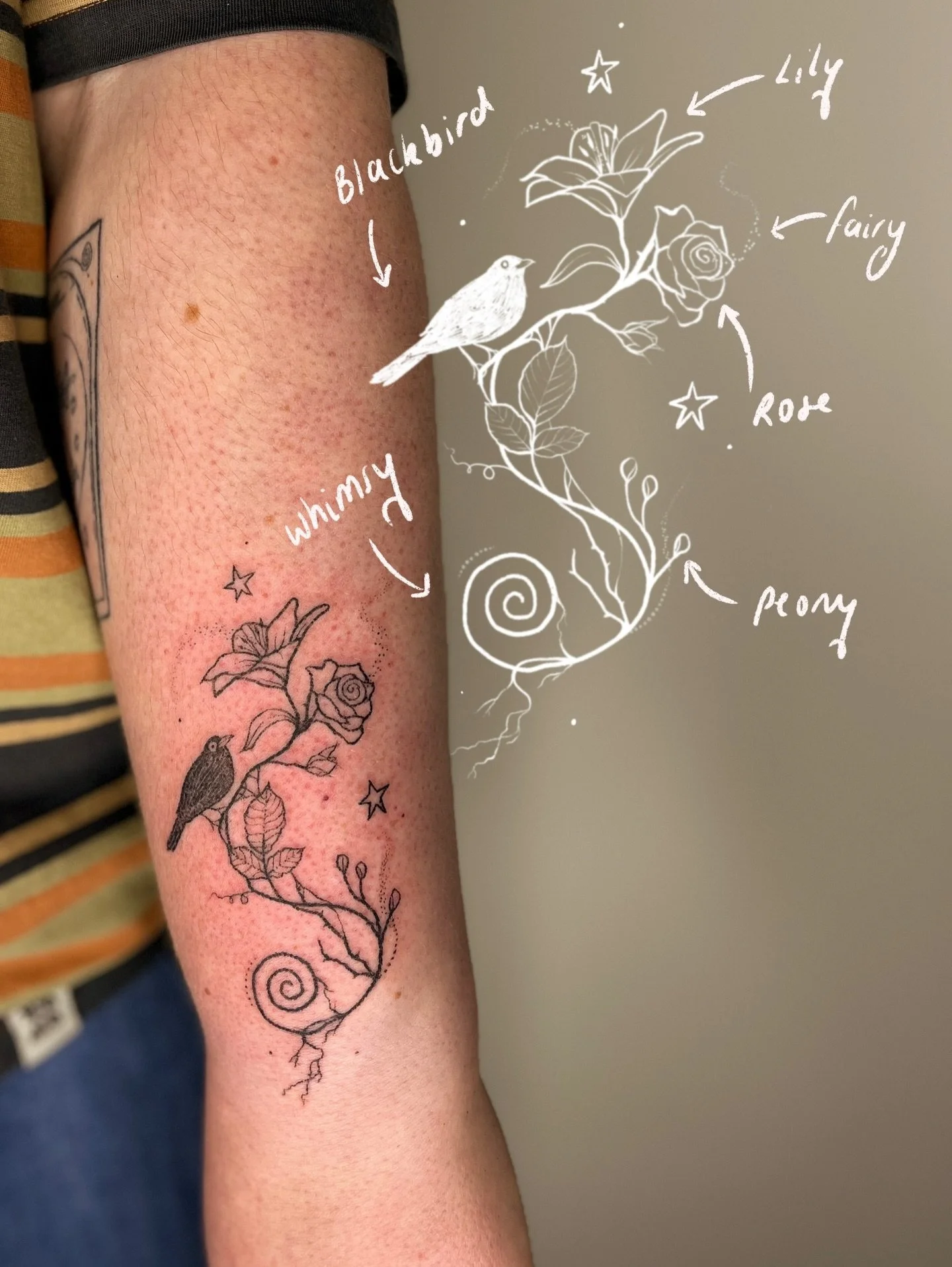 𓇗 𓆱𖣂 ⋆.˚𖦹 my handpoked ecosystem tattoos are a perfect way to incorporate meaningful parts of nature into one tattoo 𓇗 𓆱 blackbird, lilies, peonies, roses, whimsy/ fairy was the brief for this custom 𓇗 𓆱𖣂 ⋆.˚𖦹

what elements would you add? 