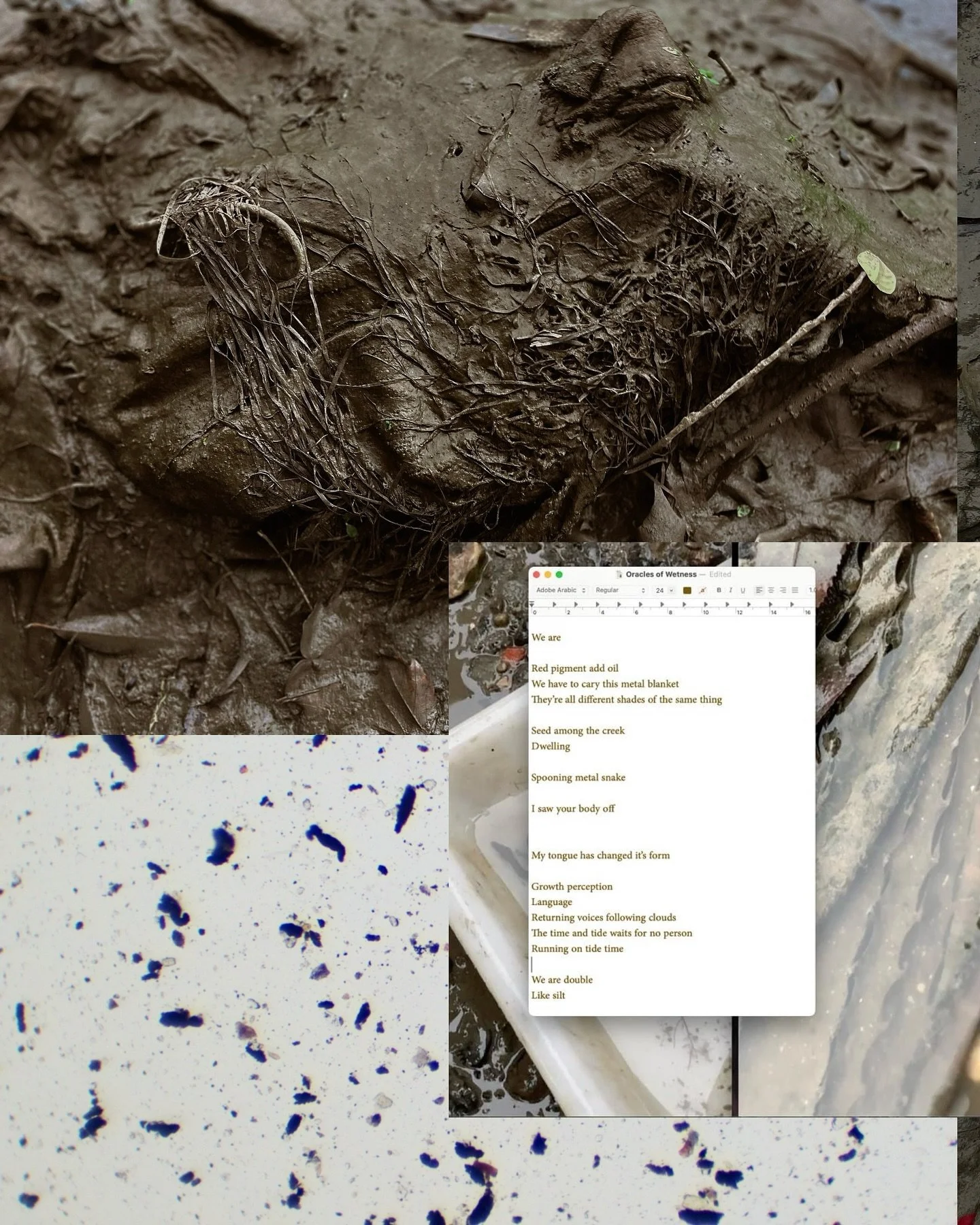 𖦹 first few months of @ma_art_and_ecology full of care, collaboration and tenderness through the autumn months with this group. very grateful for this time and knowledge exchange 𖦹

Images
𖦹 Walthamstow Wetlands
𖦹 Deptford Creek
𖦹 Experimental L