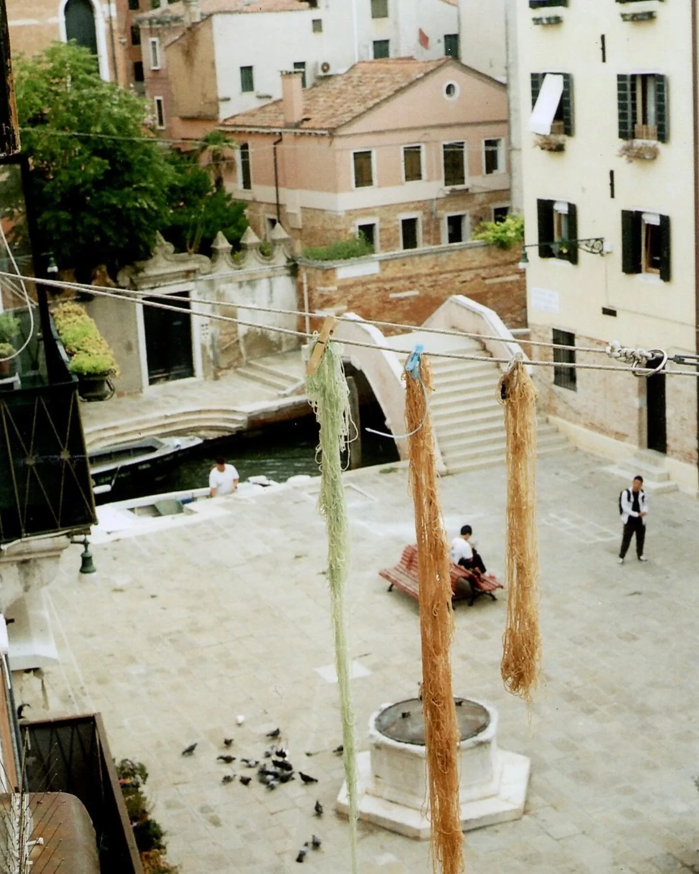 ~ solar dyeing in venice, with finds from the islands, on film ~

for next year biennale fellows i will see you later this eve to discuss dye, materiality and collaboration <3