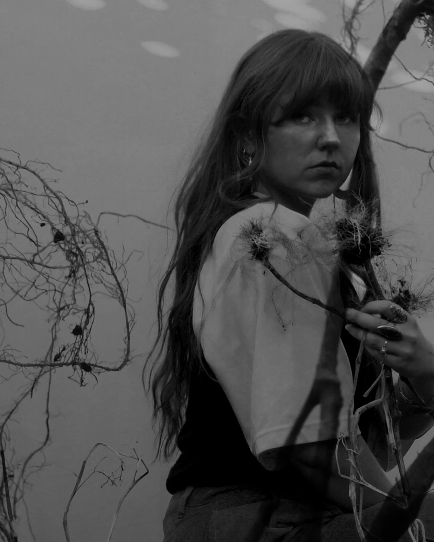 samhain and the dark half of the year are approaching, the green tomatoes are chutney, the vegetables from the summer are roots and branches. 

as things die to be reborn i am sewing the seeds for a new chapter and have started an MA in Art &amp; Eco