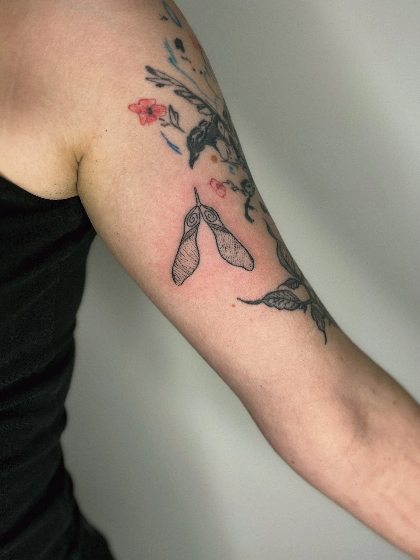 𖦹 swirly sycamore seedling, handpoked tattoo 𖦹

✴︎ message to book in, I have space for you! ✴︎

#tattoo #handpokedtattoo #botanicaltattoo #finelinetattoo #seedling