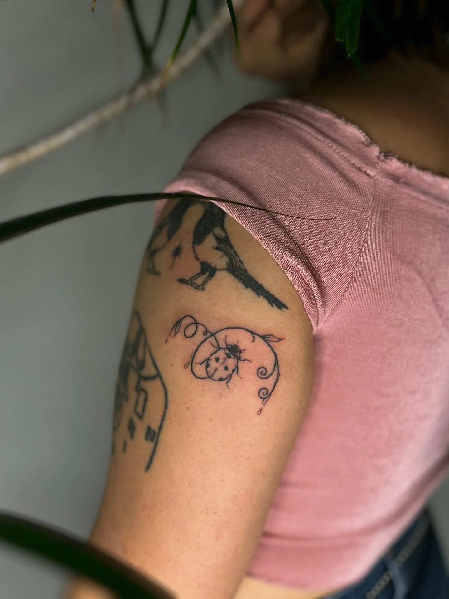 𖦹⋆ ༺ spirally ladybird for jaz  𖦹⋆ ༺ handpoked tattoo next to healed magpies  𖦹⋆ ༺

✴︎ message to book in, I have space for you! ✴︎

#tattoo #handpoketattoo #ladybirdtattoo #bugtattoo #whimsicaltattoo