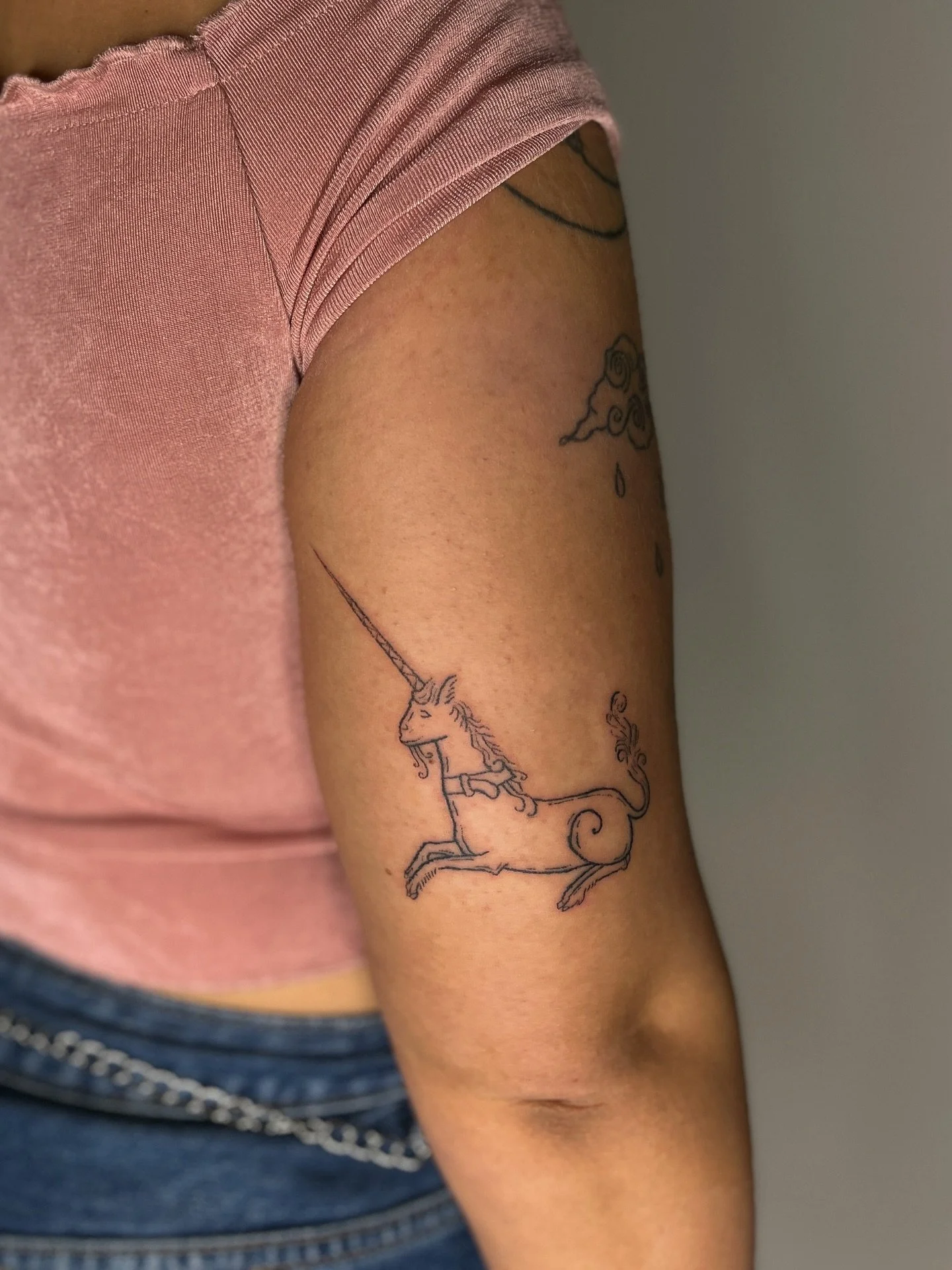 ⊹ ₊ ݁. 𖦹⋆ ༺ last unicorn handpoke tattoo inspired by the medieval tapestry ⊹ ₊ ݁. 𖦹⋆ ༺

✴︎ message to book in, I have space for you! ✴︎

#tattoo #handpoketattoo #handpoked #whimsicaltattoo #unicorntattoo