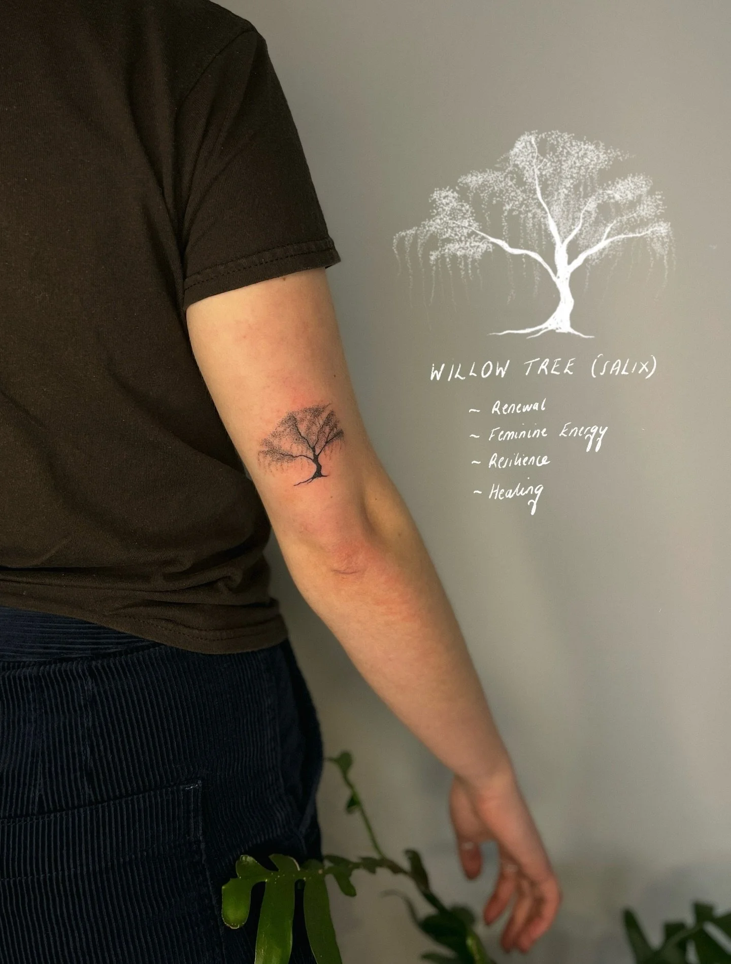 𓆱𖣂 ⋆.˚𖦹 the willow tree 𓆱𖣂 ⋆.˚𖦹 i can&rsquo;t believe it took so long to finally tattoo a willow tree 𓆱𖣂 ⋆.˚𖦹 Willow is my middle name and is associated with renewal, feminine energy, resilience and healing 𓆱 the willow bark can be used as 
