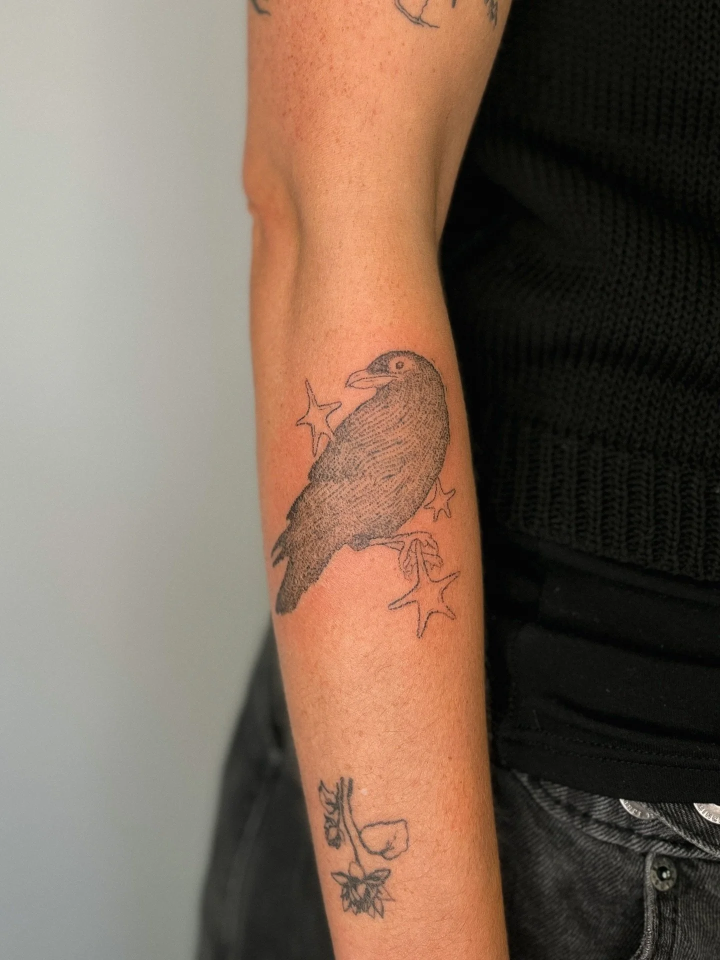 𓅪 ⟡  raven handpoked forearm tattoo ⟡ 𓅪 with whimsical sparkles &hellip; message to book in &bull;

#handpoketattoo #birdtattoo #whimsicaltattoo #startattoo #armtattoo