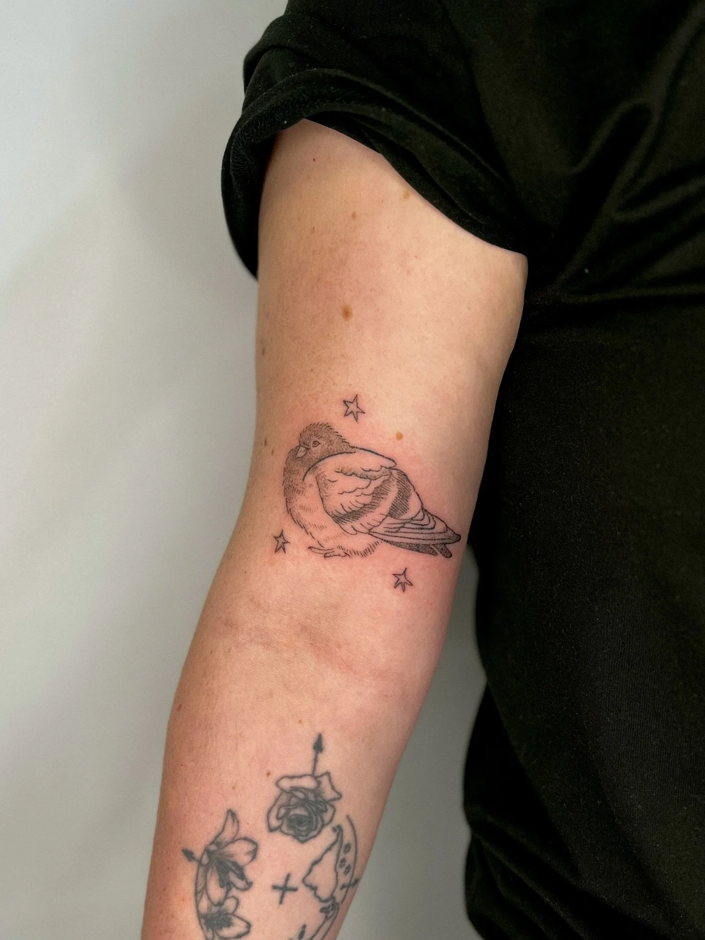 ⋆⭒squishy pigeon handpoke tattoo custom ⋆⭒message to book in your ideas ⭒ 

⋆⭒˚.⋆
#pigeontattoo #handpoketattoo #whimsicaltattoo #startattoo #birdtattoo
