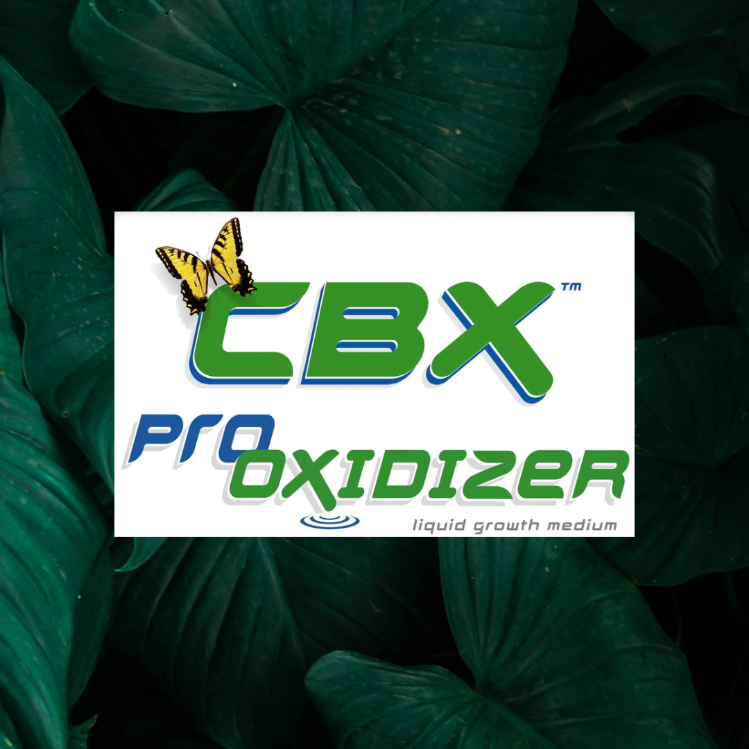 FB7478BE-917C-4BBB-A221-803C0616B814.png